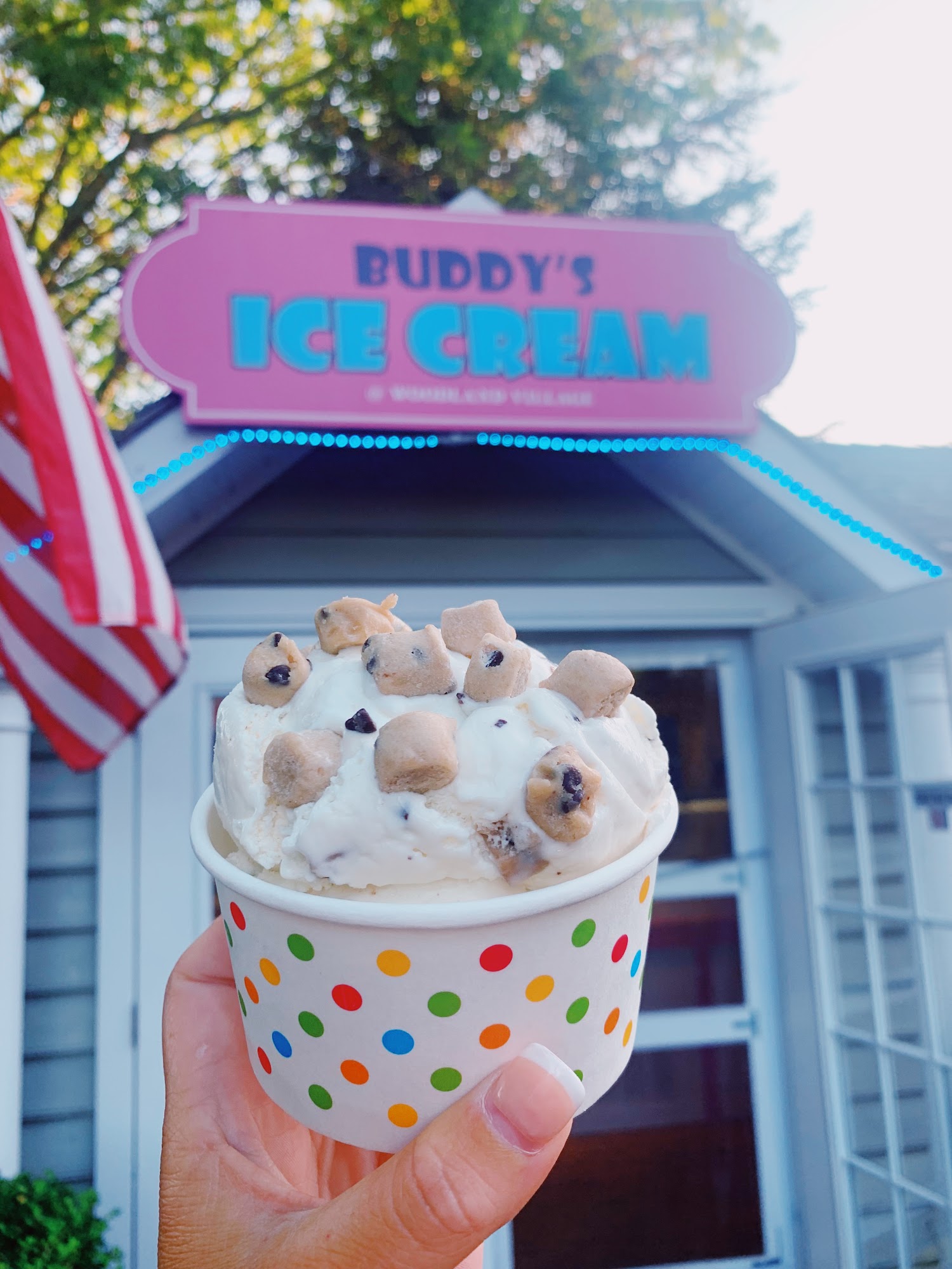 Buddy's Ice Cream And Acai Bowls Ocean View