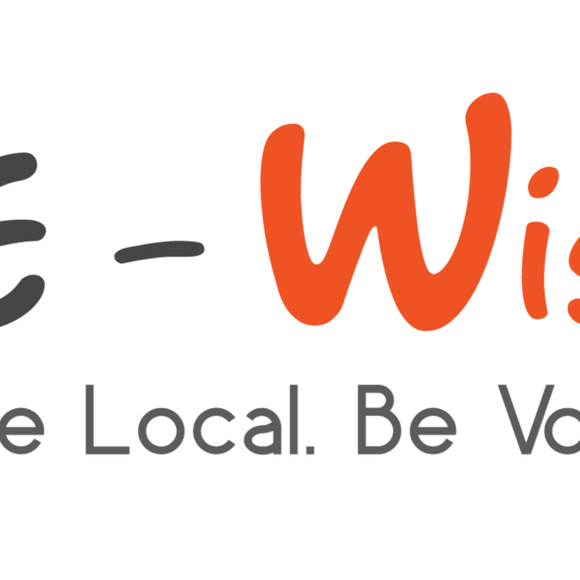 Be Wise LLC