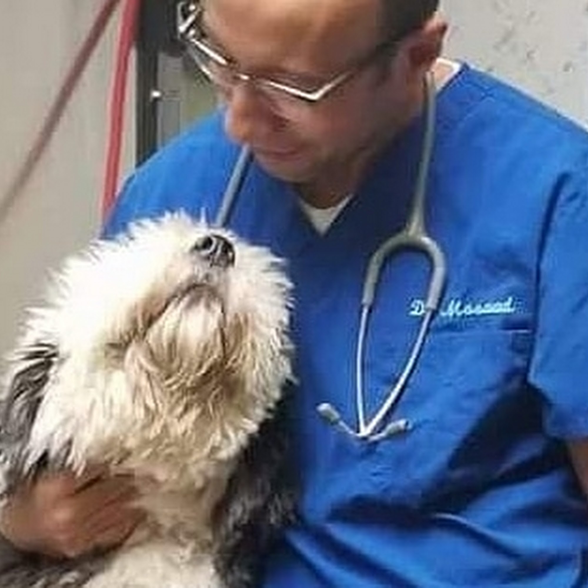 Farview Animal Clinic paramus Paramus