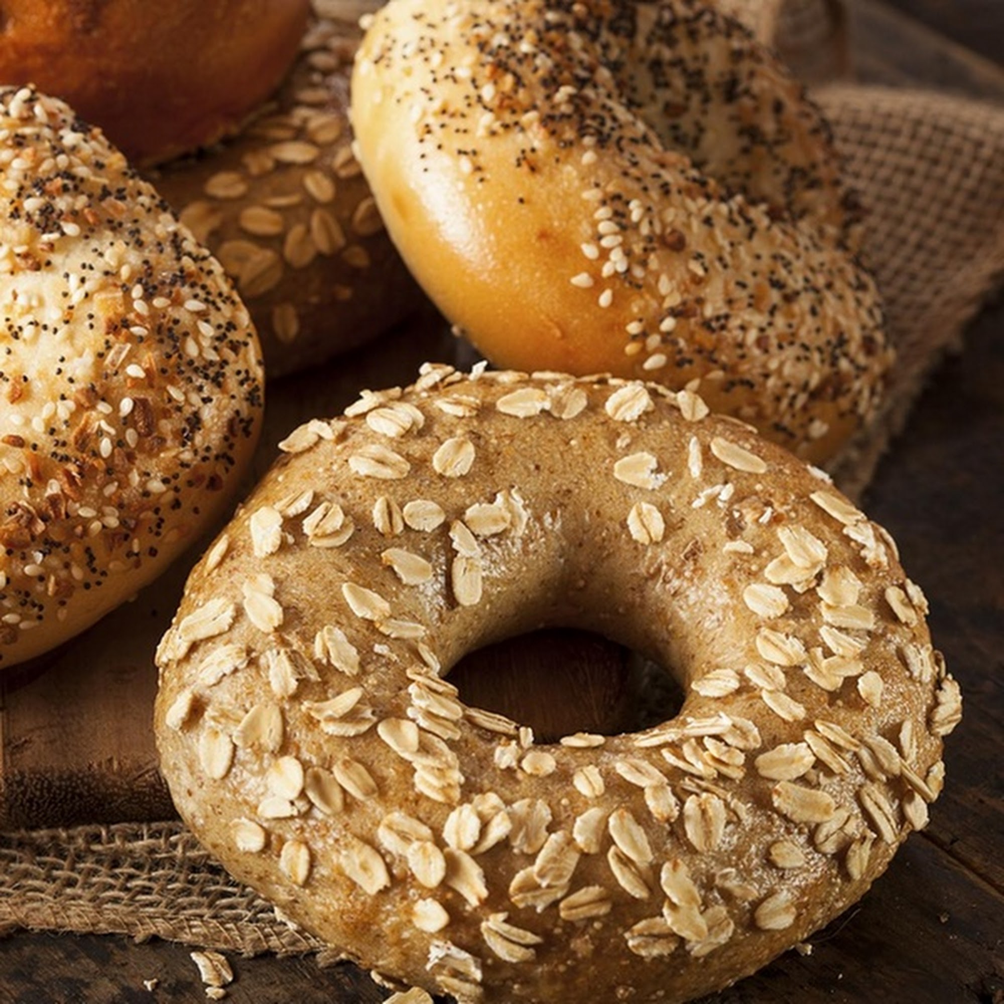 Everything Bagel Paramus
