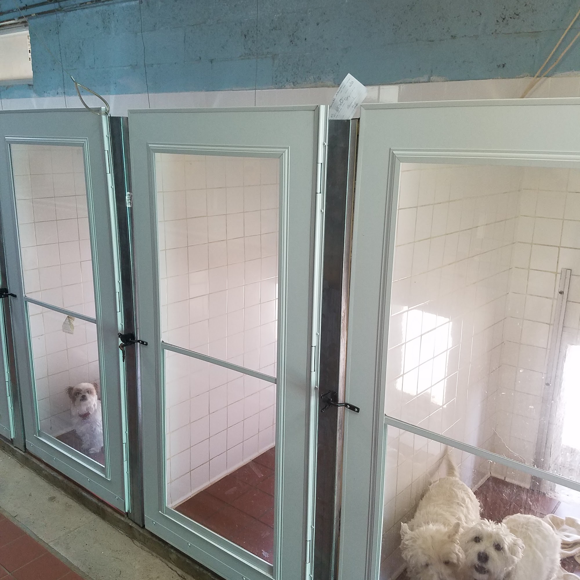 Manor Crest Kennel Paramus