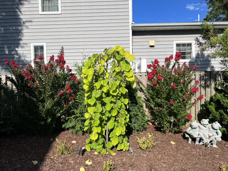 Hios Landscaping Inc