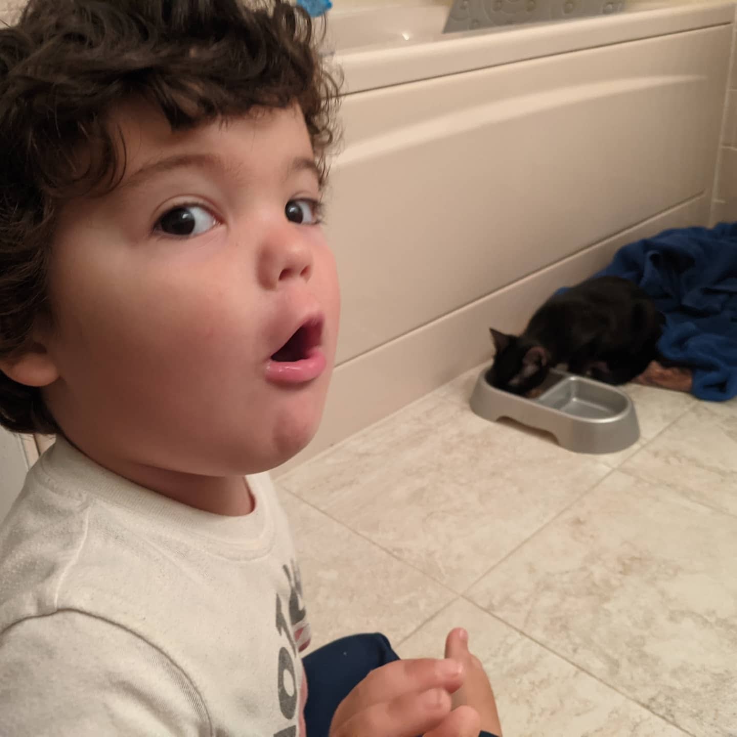 Parsippany Animal Shelter Parsippany