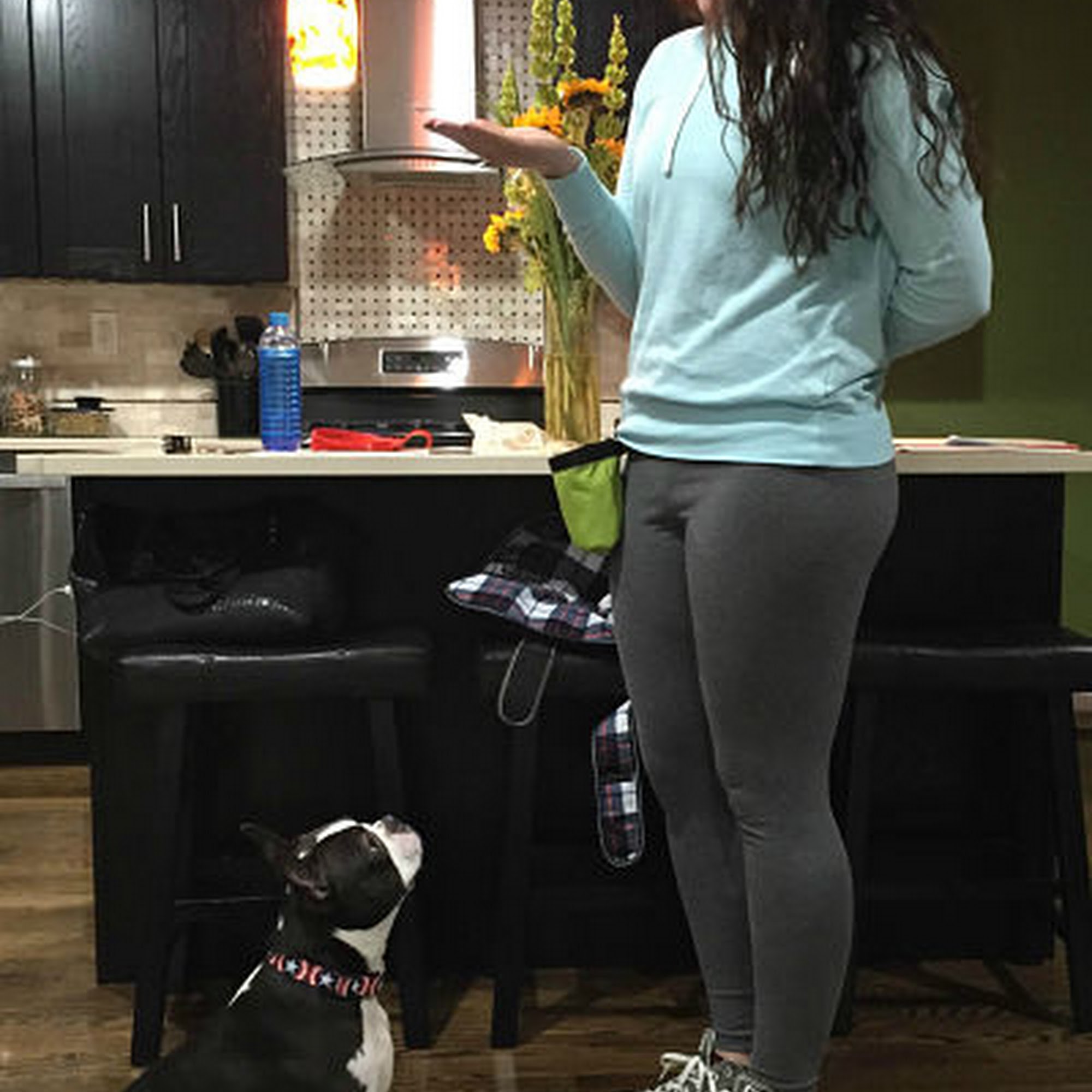 NJ Dog Academy, LLC