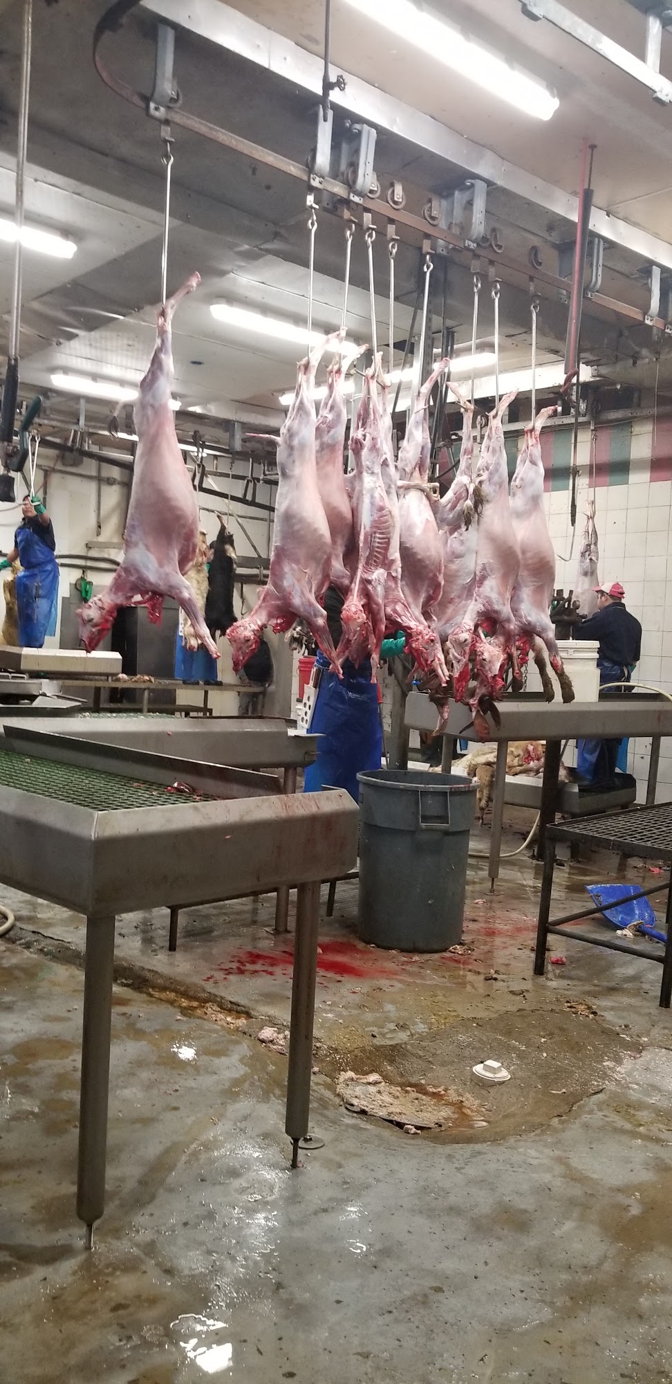 Ena Meat Packing Paterson