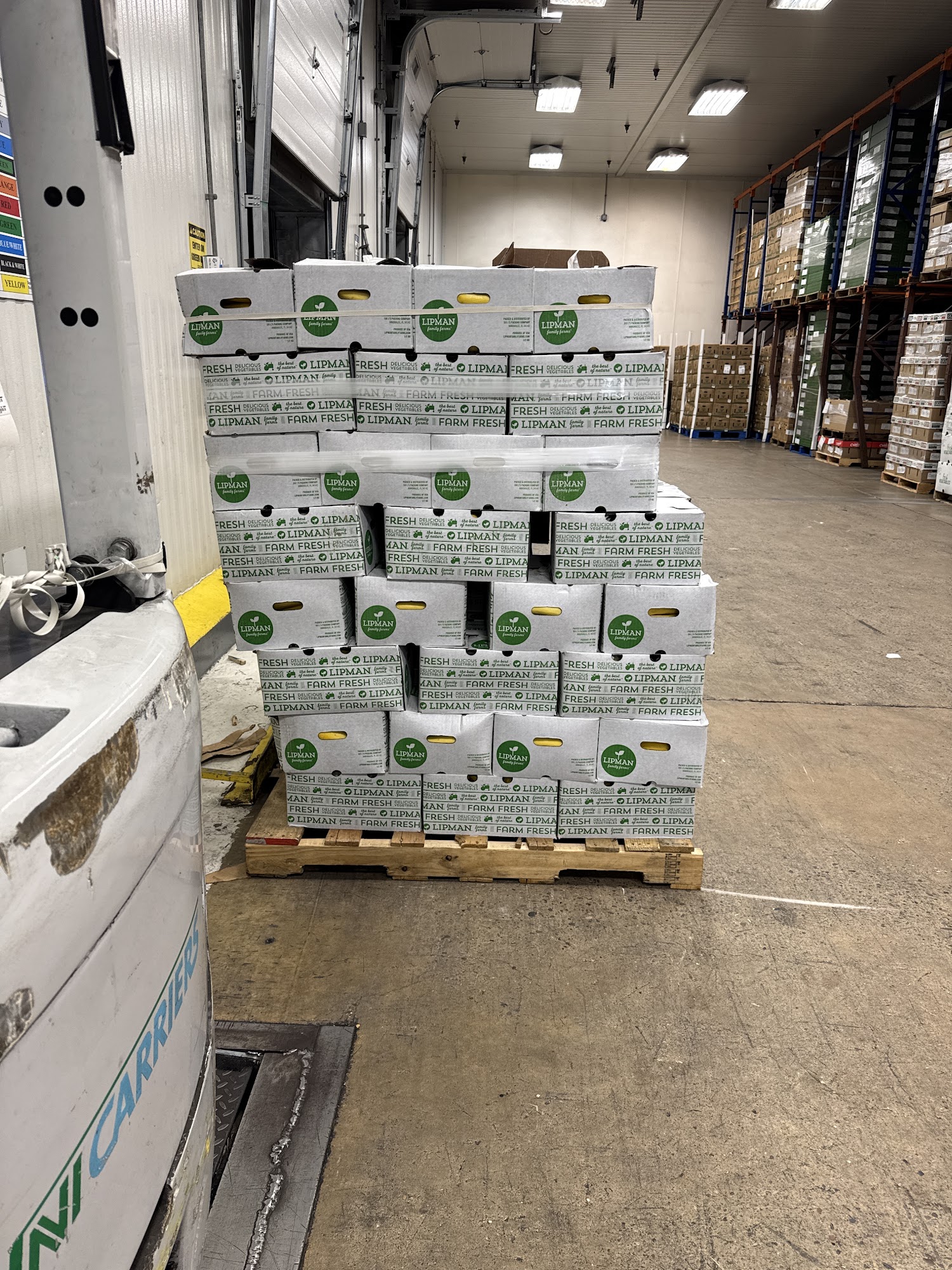 Thomas Colace CO LLC Paulsboro