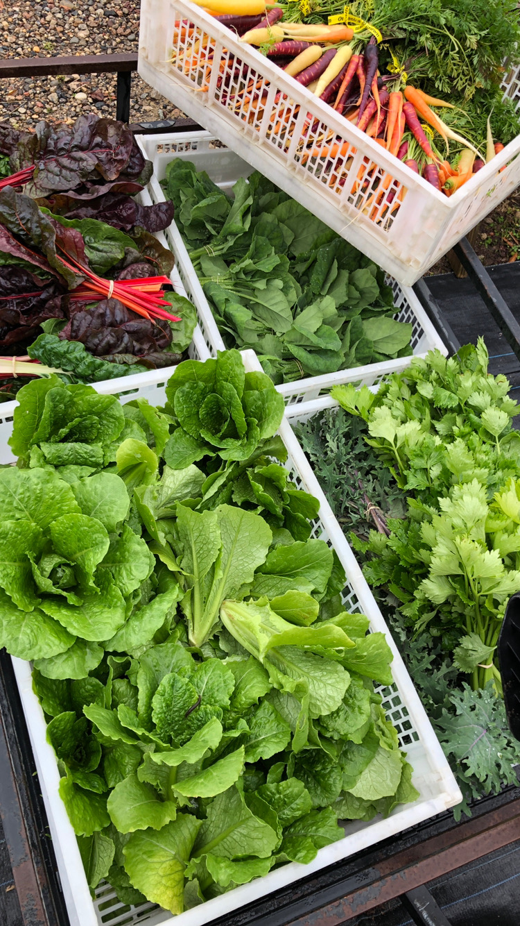 Pinelands Produce Pemberton