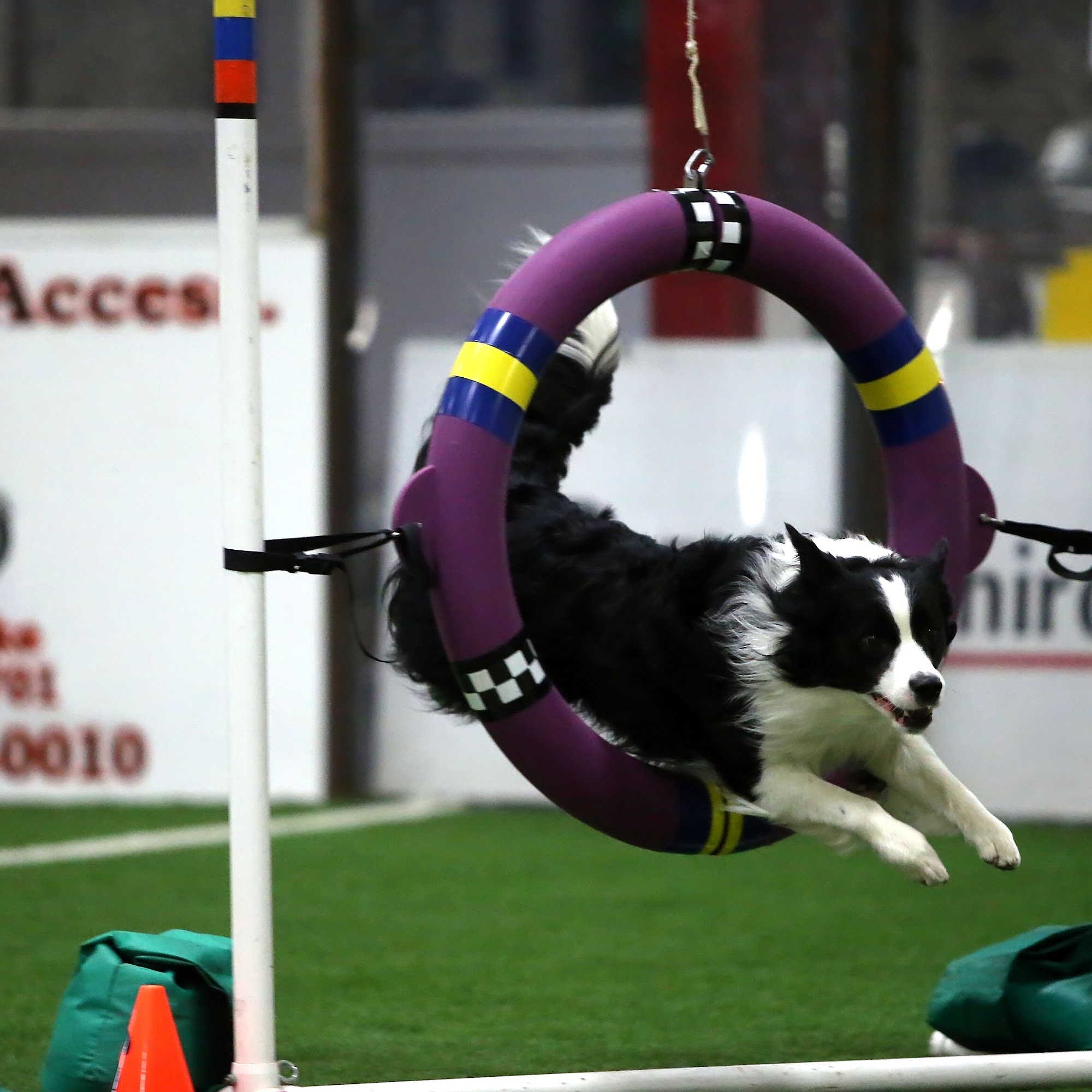 BUCKS-MERCER AGILITY PARTNERS LLC. Pennington