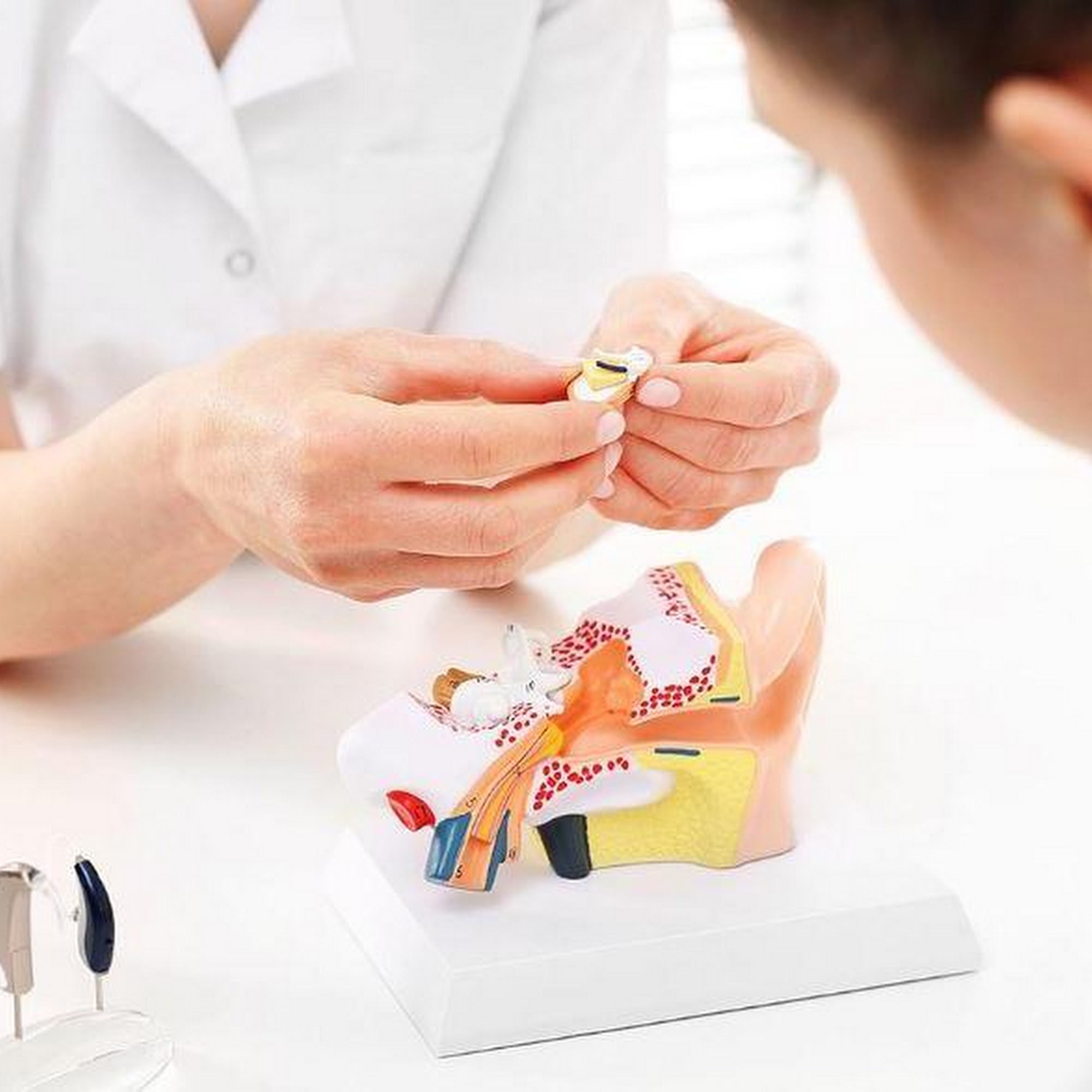 Horizon Audiology, Inc. 84 NJ-31 Ste 200, Pennington New Jersey 08534