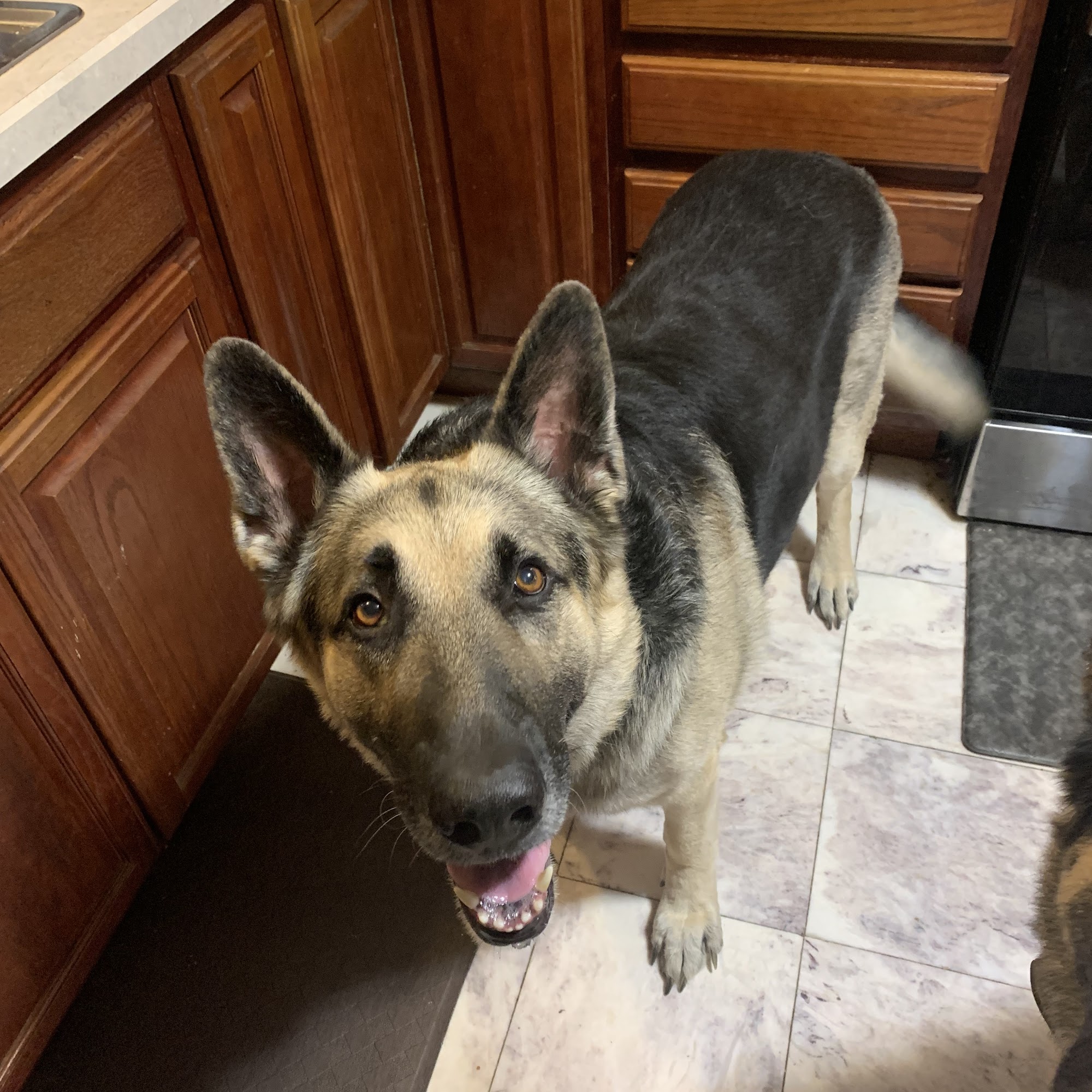 Pennsville Veterinary Clinic Pennsville