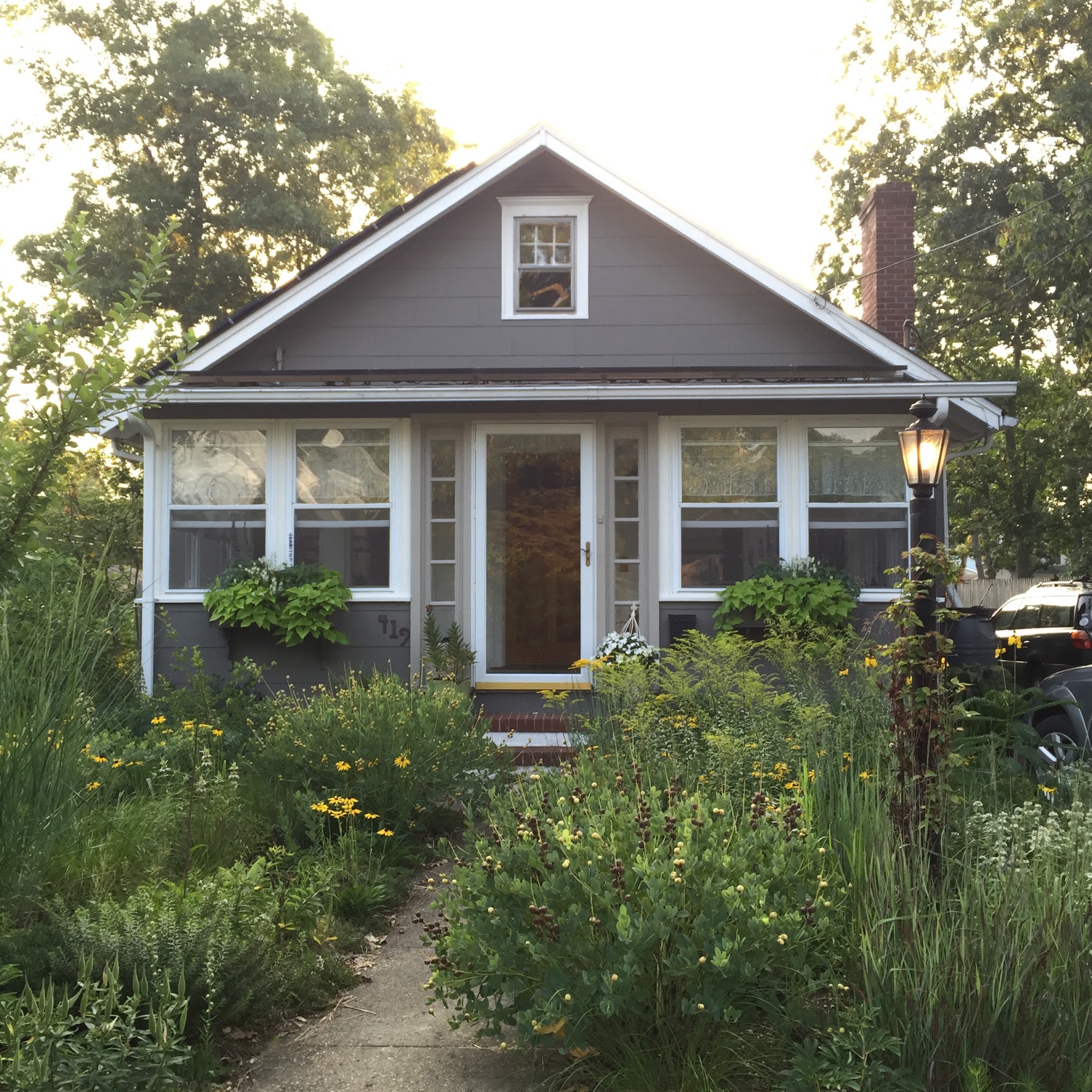 The Little Plant Company