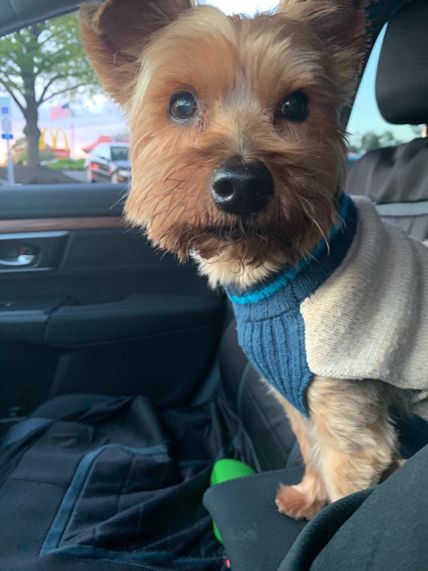 Photo credit: nextdoor