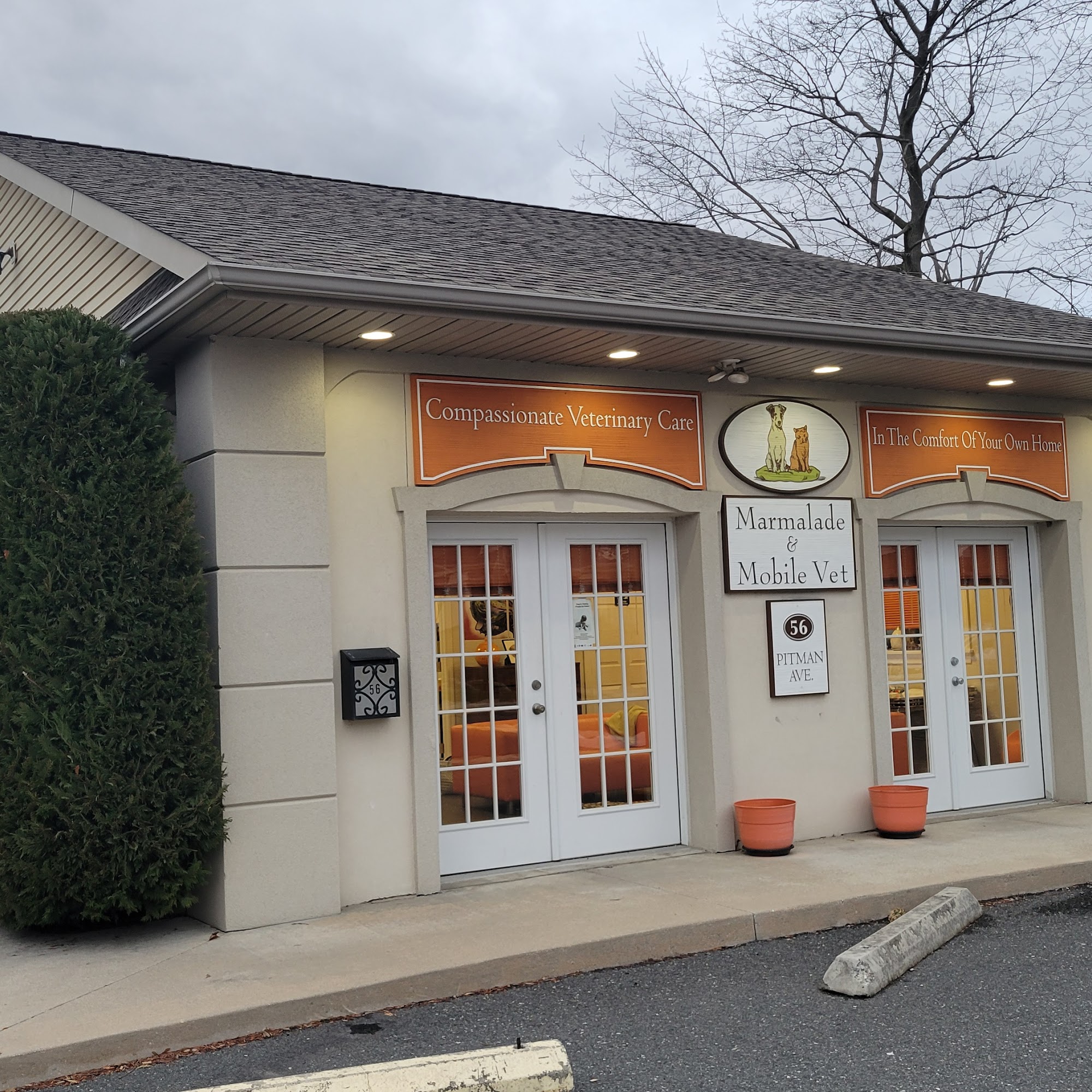 Marmalade & Mobile Vet Pitman