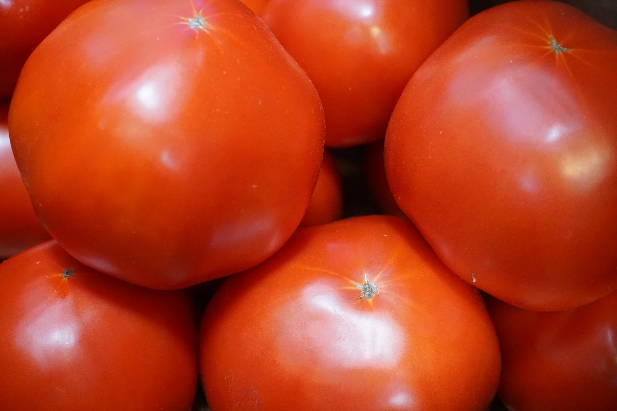 Caldino's Italian Market Point Pleasant