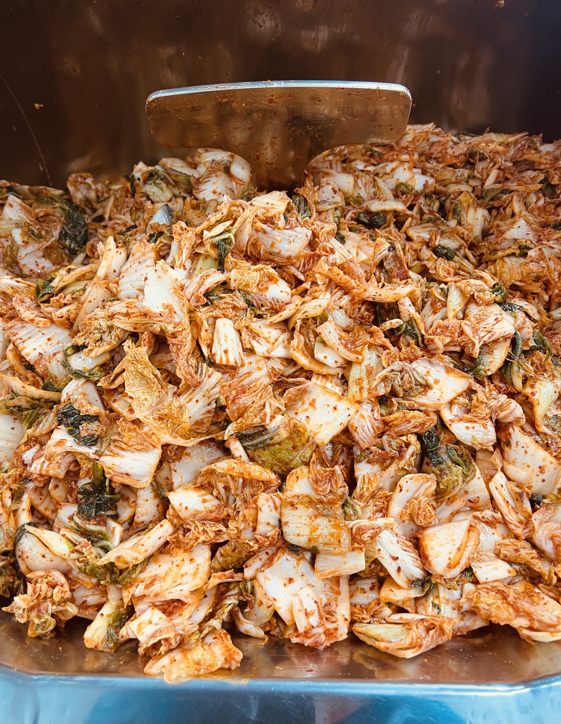 Kim Chee Pride Inc Prospect Park