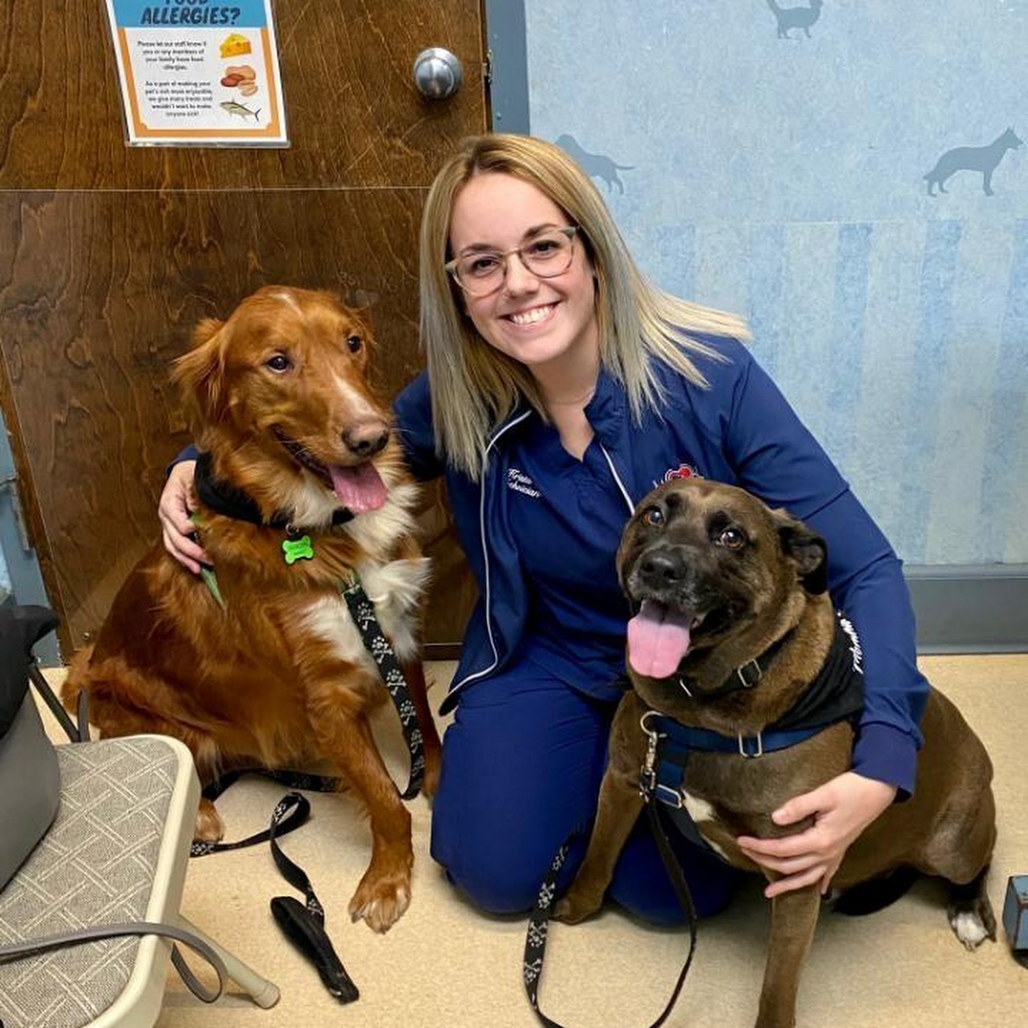 American Animal Hospital Randolph