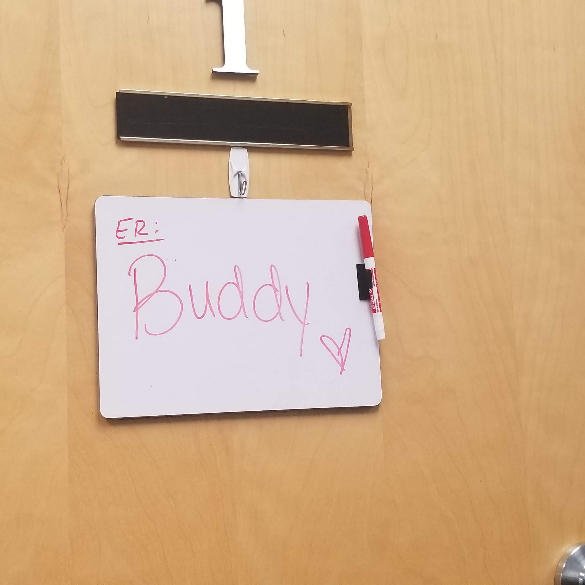 Animerge: Newton Dean DVM Raritan