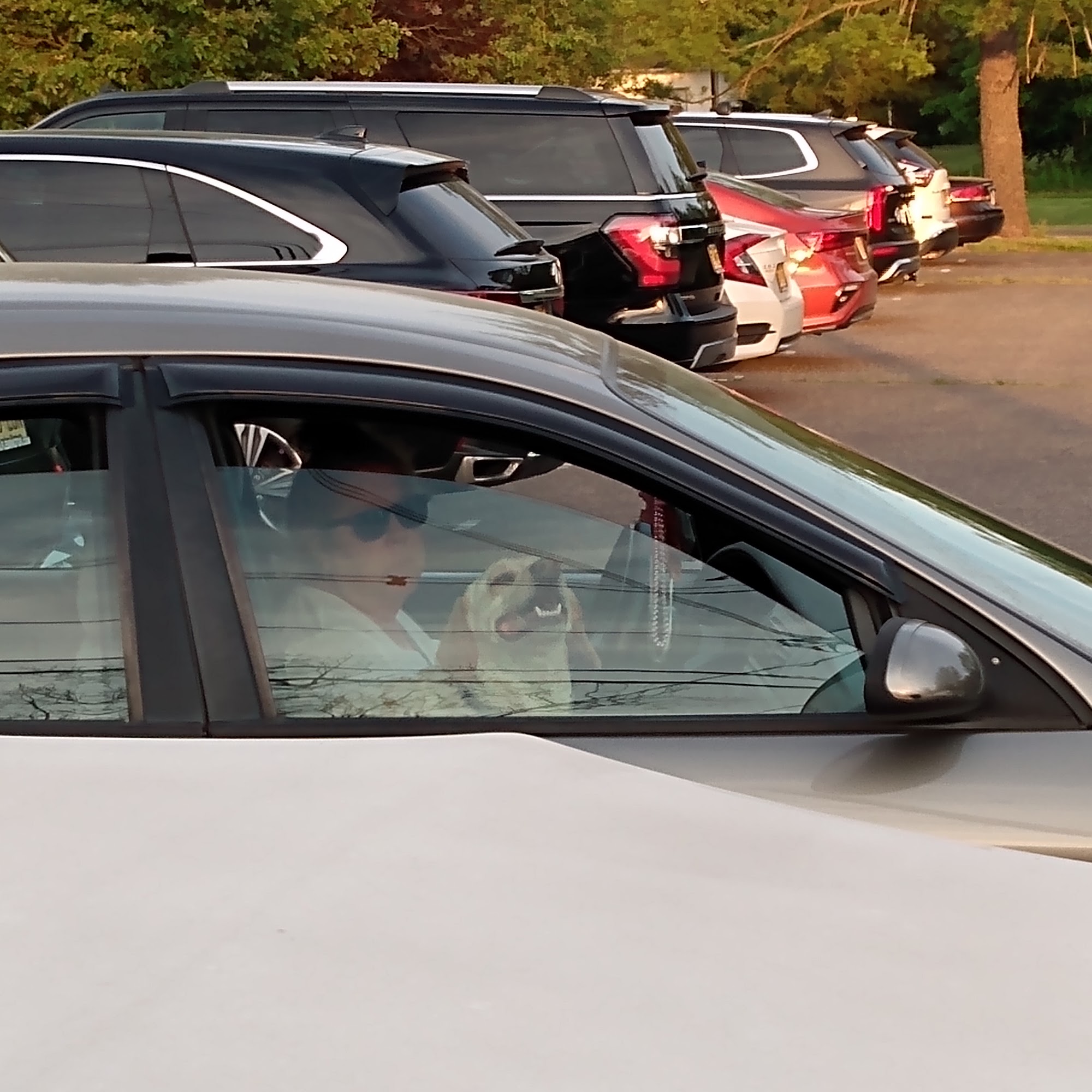 Paw Prints Veterinary Hospital, Dr. Maryann Milford Ringoes