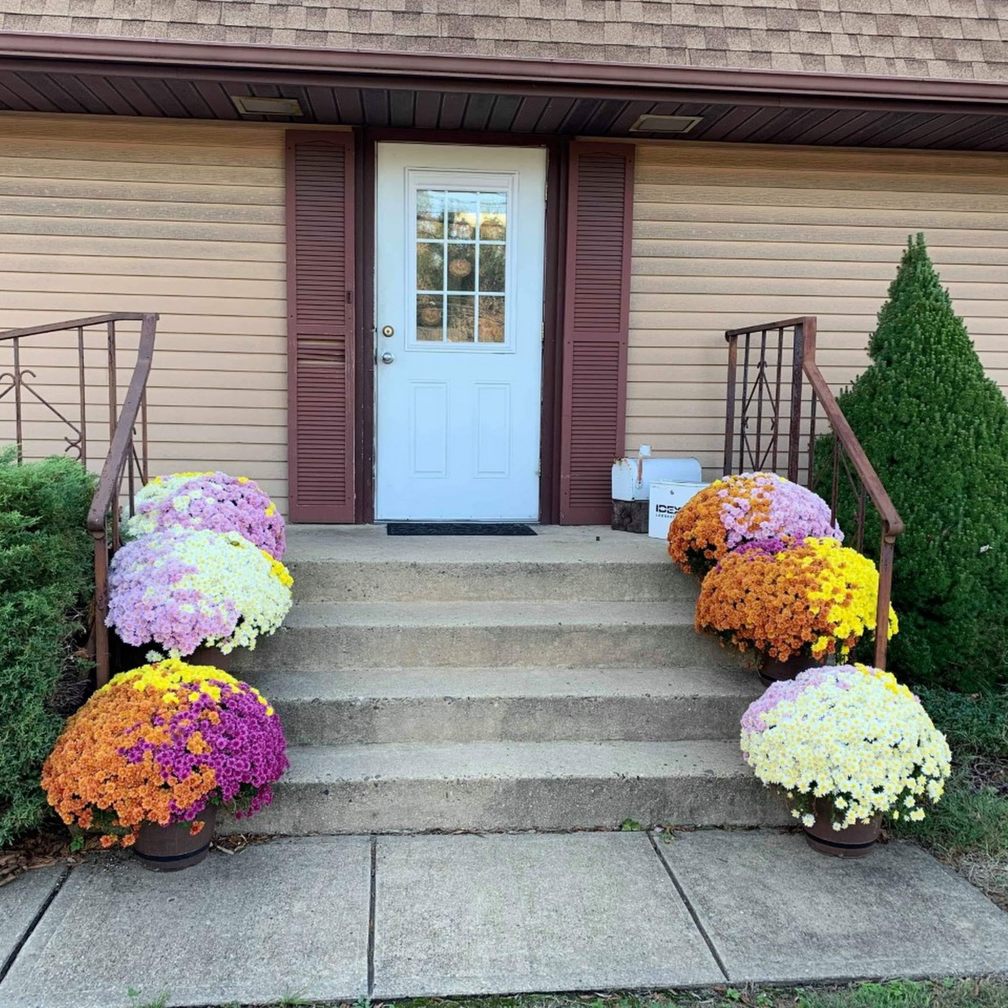 Robbinsville Veterinary Clinic: Swiderski Edward VMD Robbinsville