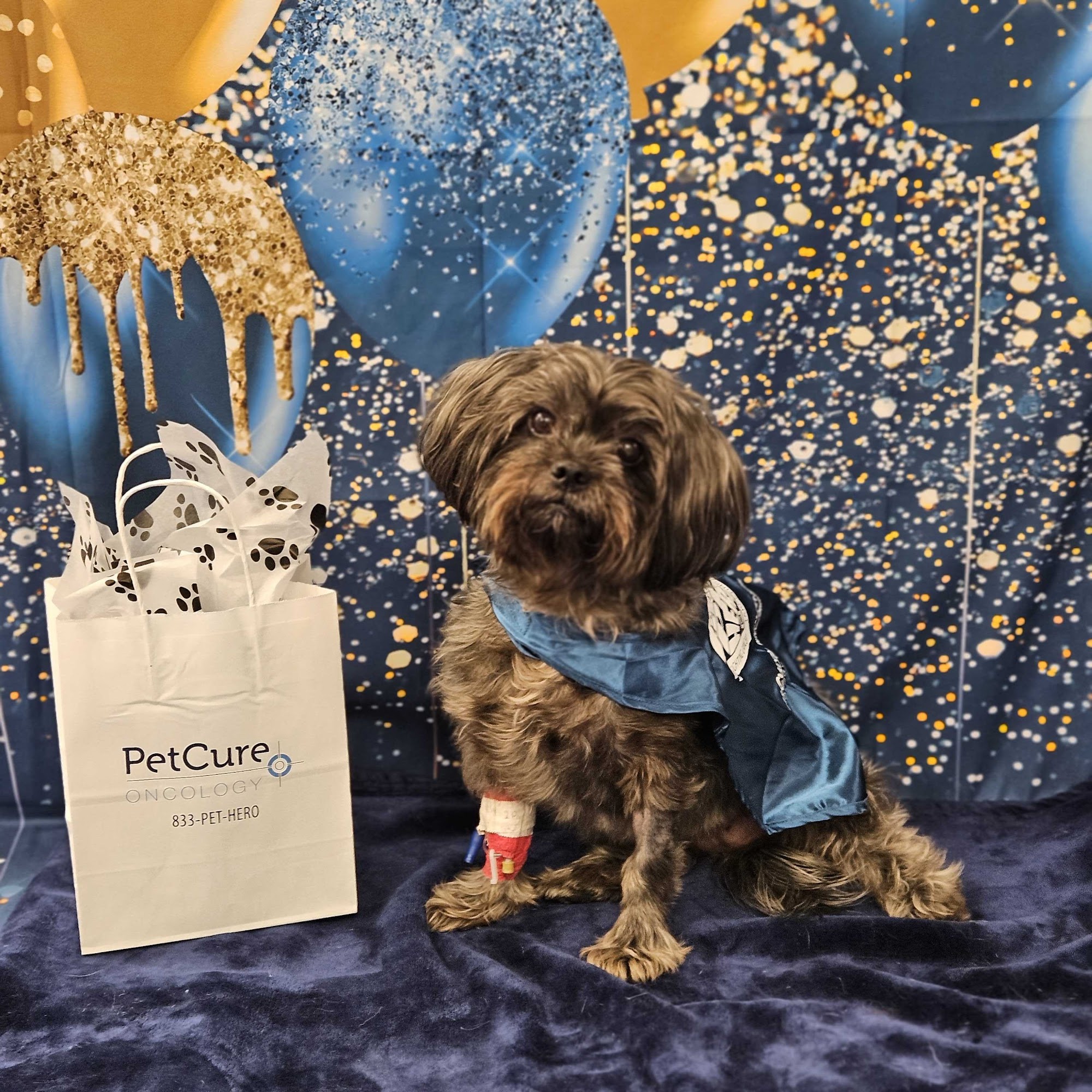 PetCure Oncology at NorthStar VETS - Advanced Cancer Treatment for Cats & Dogs Robbinsville