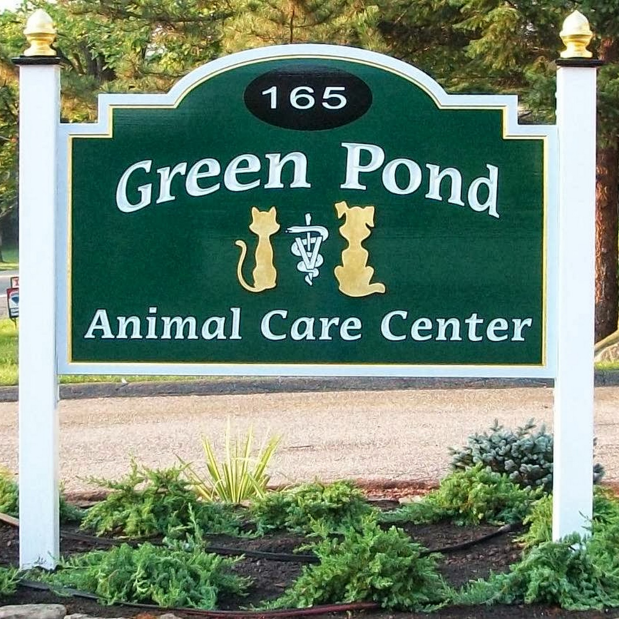 Green Pond Animal Care Center Rockaway