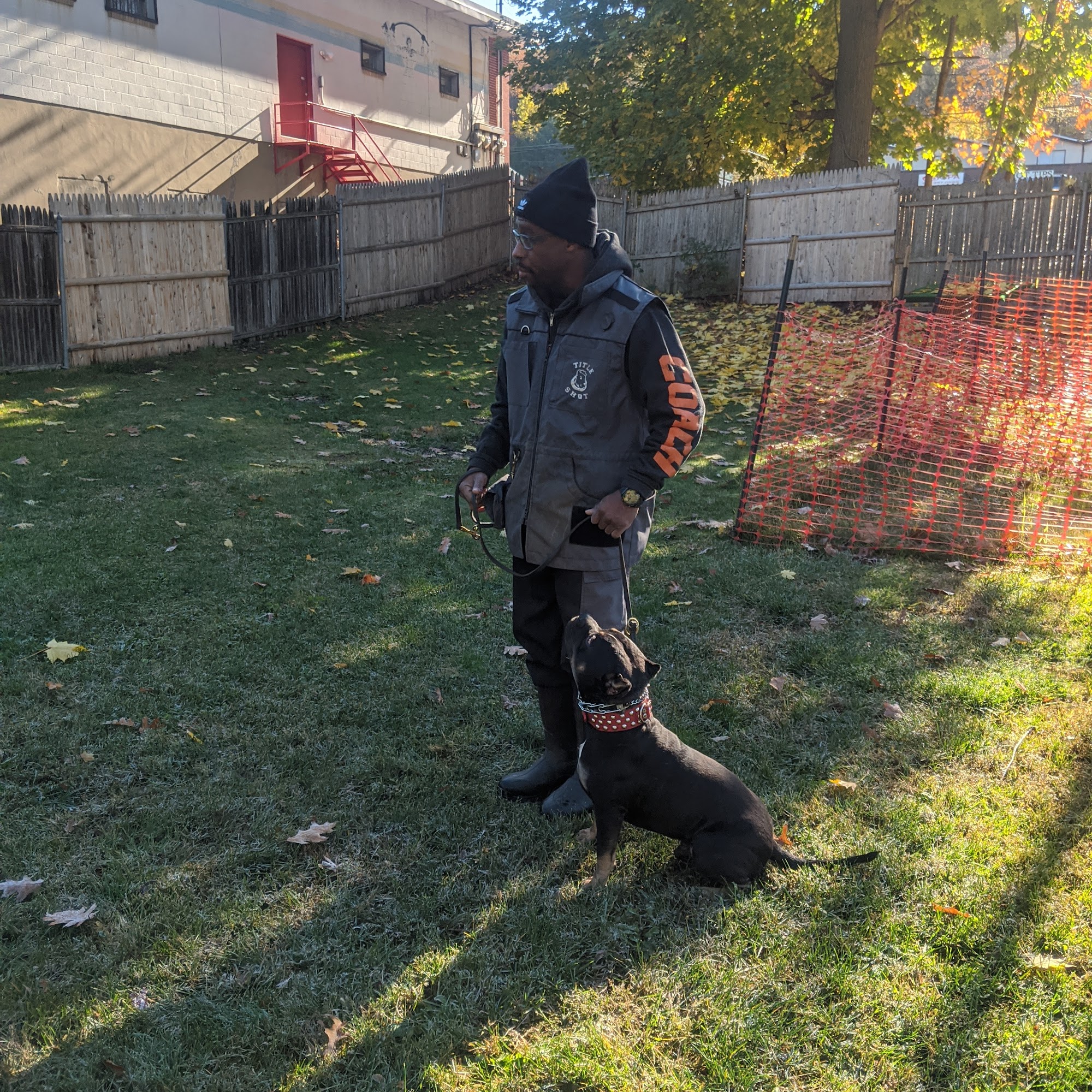 Title Shot Kennels Rockaway