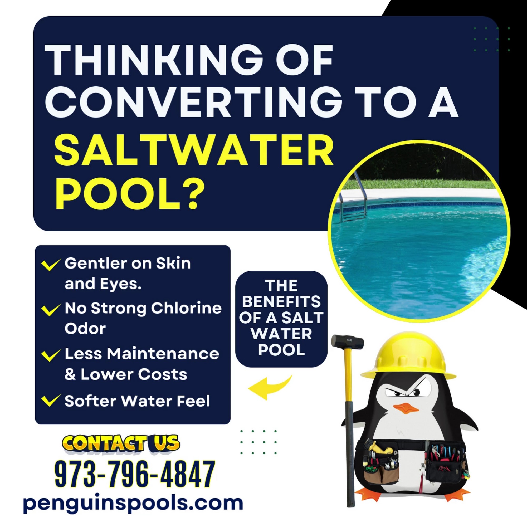 Penguin's In-Ground Pools