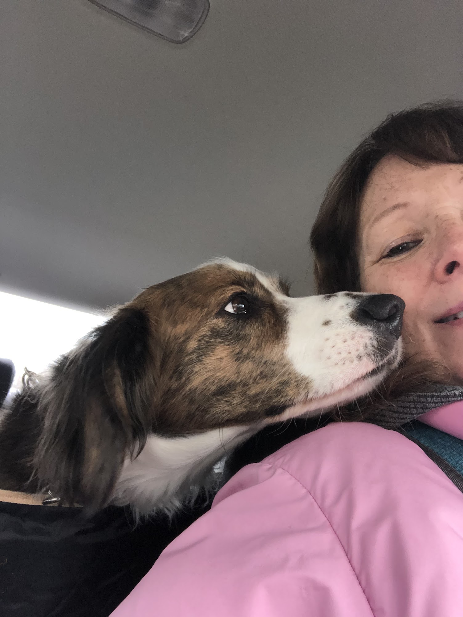 Precious Moments Pet Care Services Rutherford