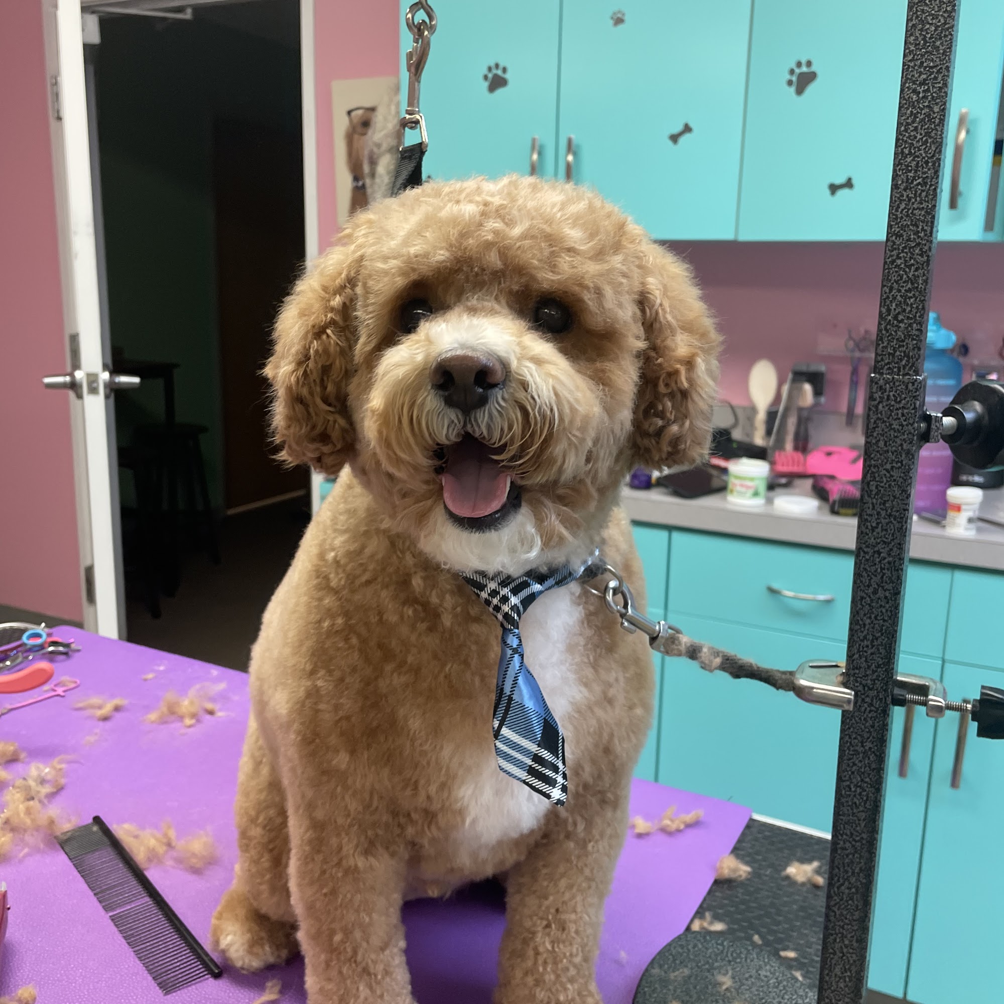 Spaw and Stay Sayreville