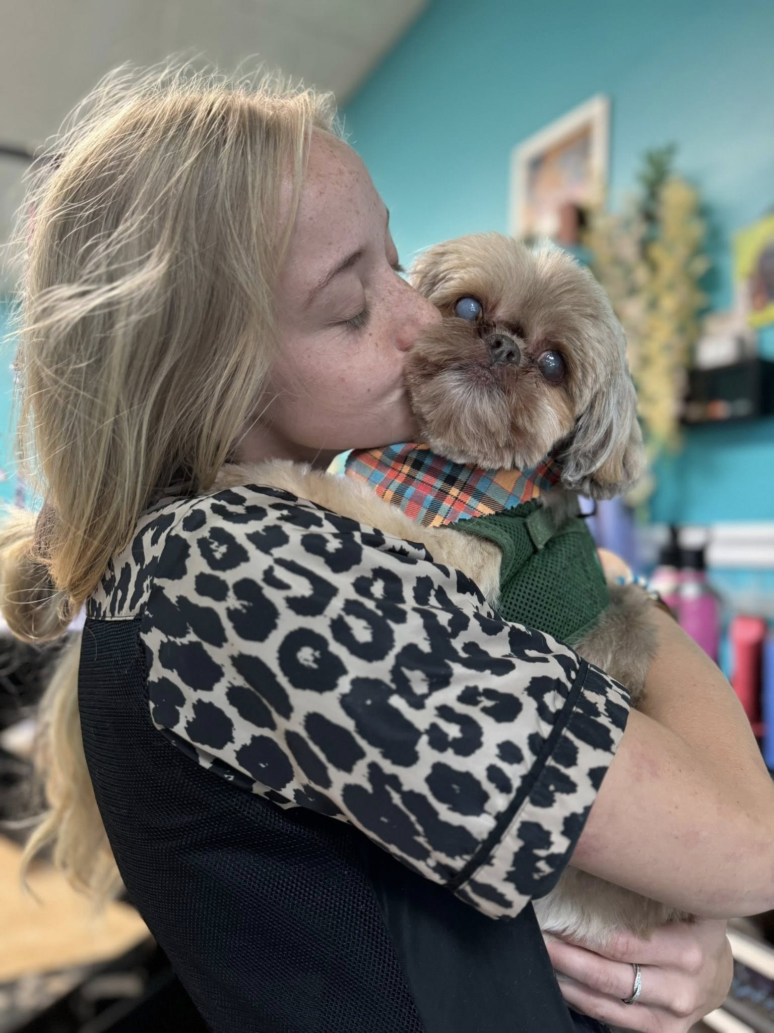 Spirit Animals Dog Grooming Sea Girt