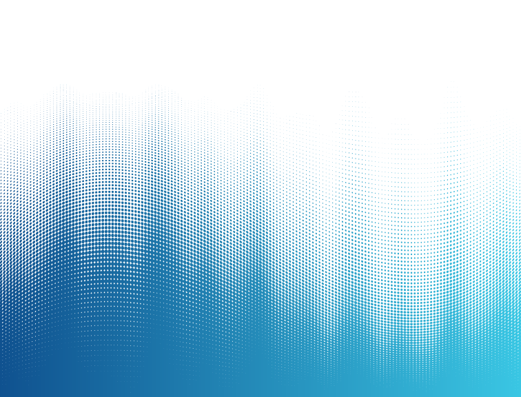 Variscale Services & Engineering, Inc. (VSEI)
