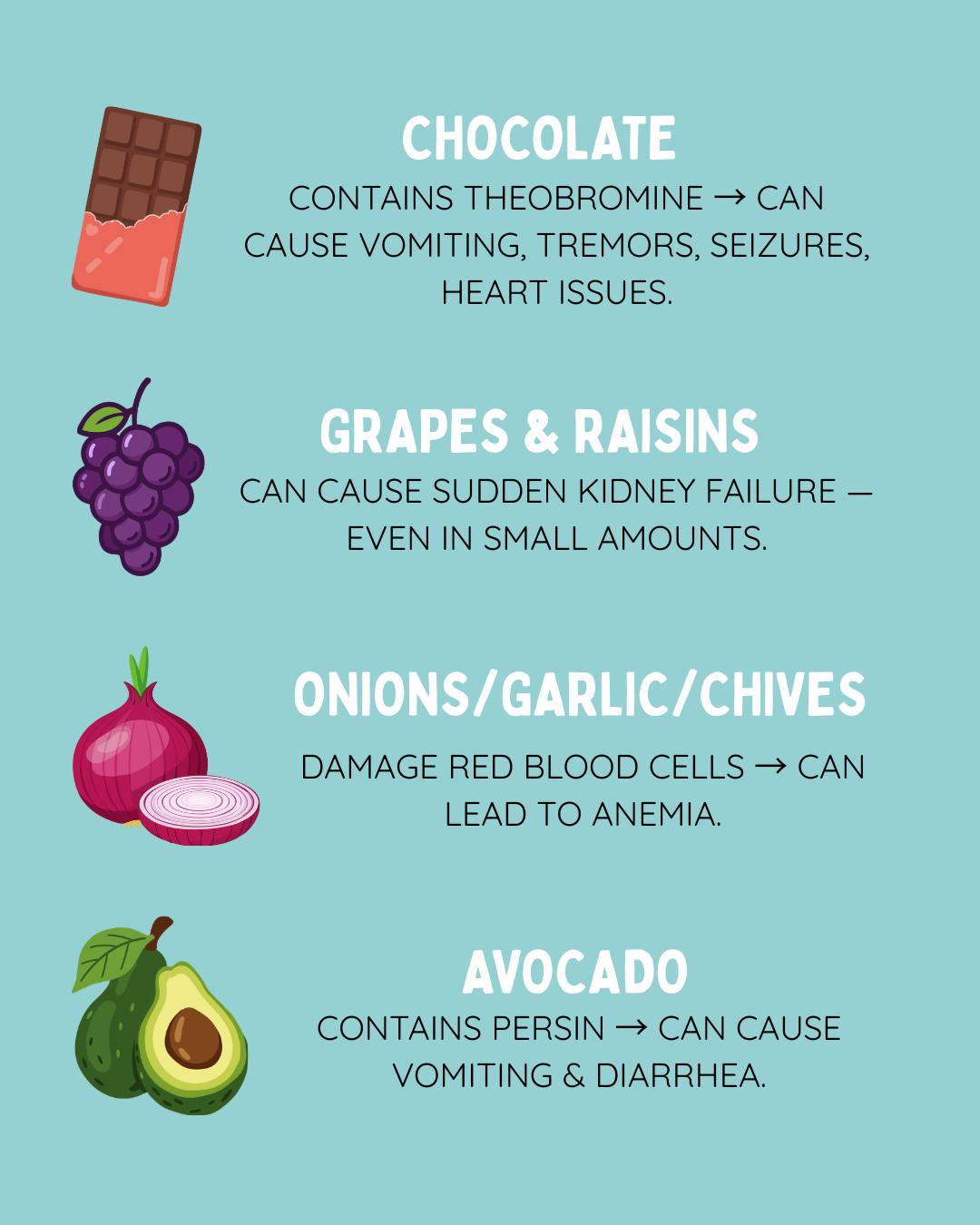 Fetch Family Pet Resort Sewell