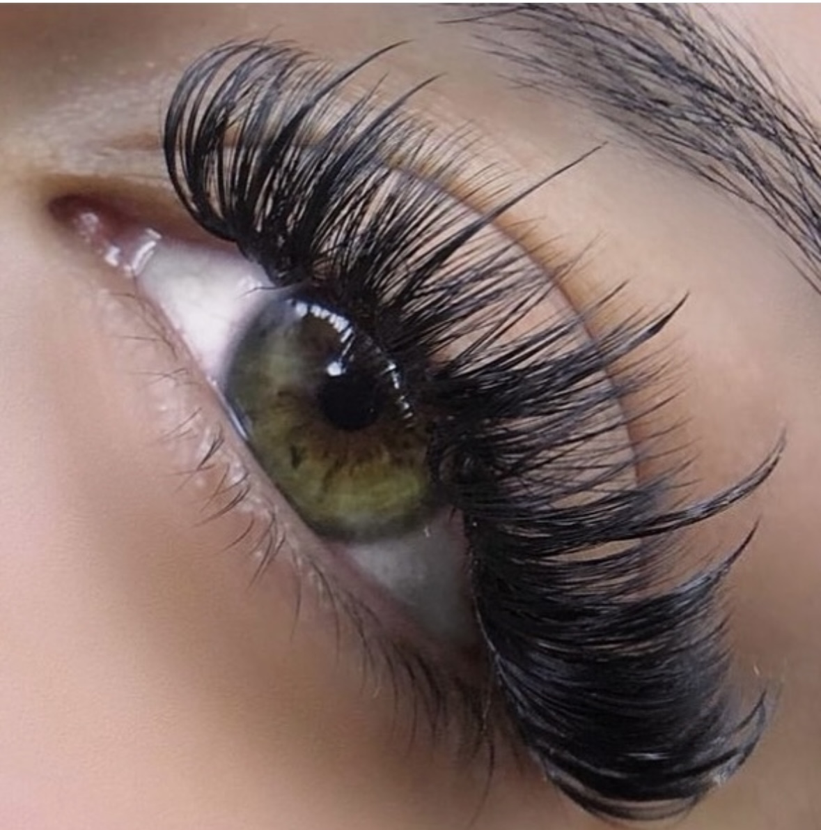 Perfect Lash
