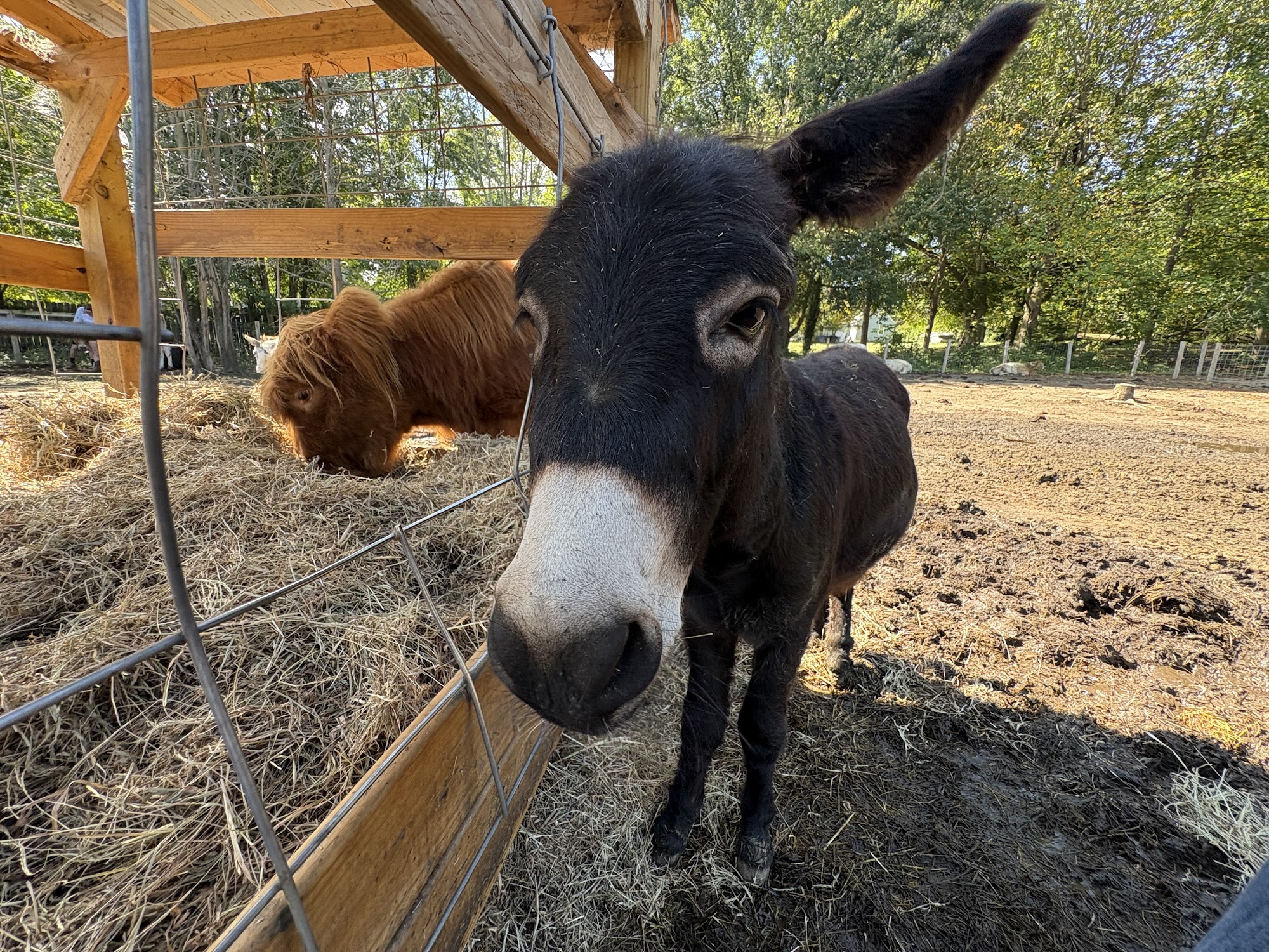Hidden Hill Farm NJ Sewell