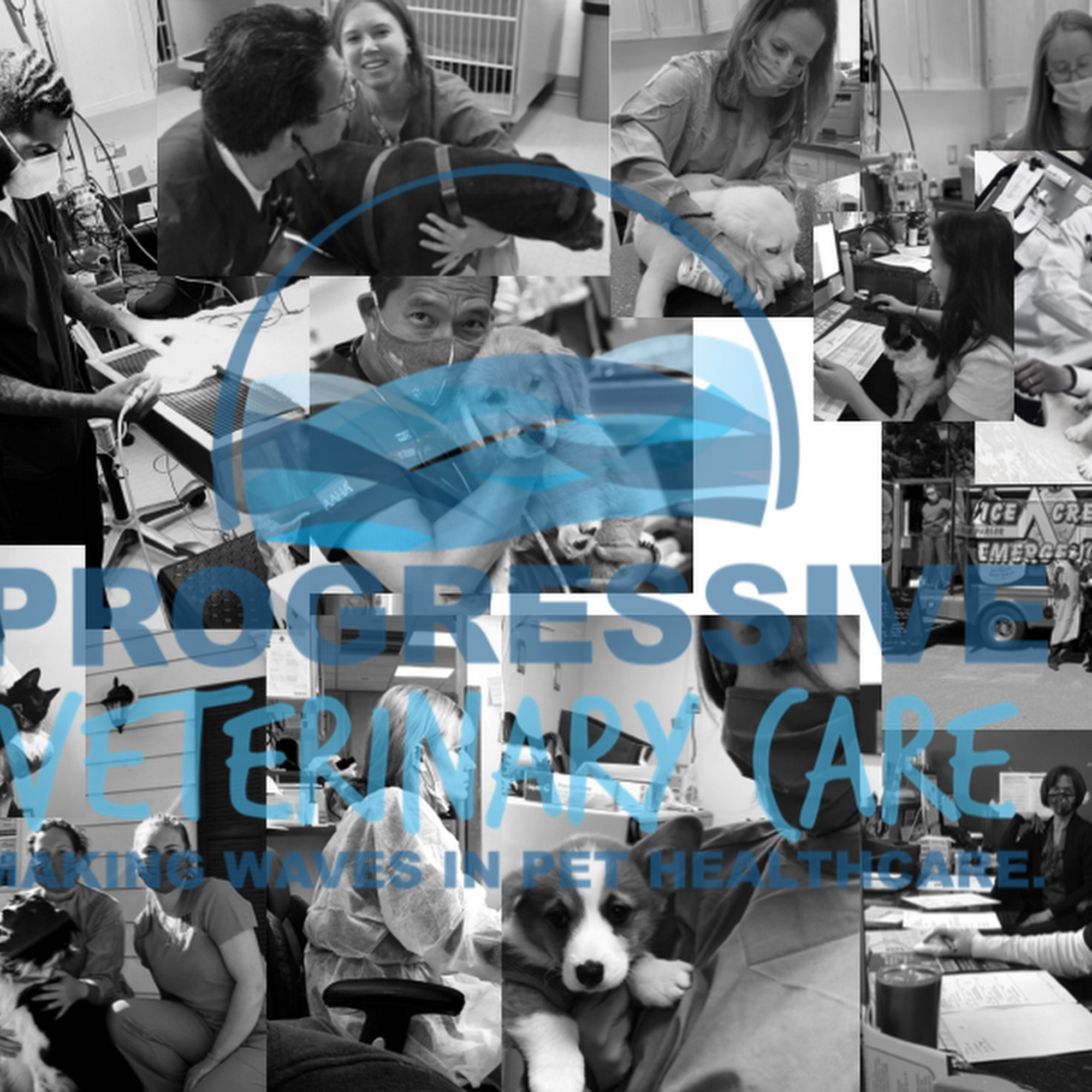 Progressive Veterinary Care Skillman