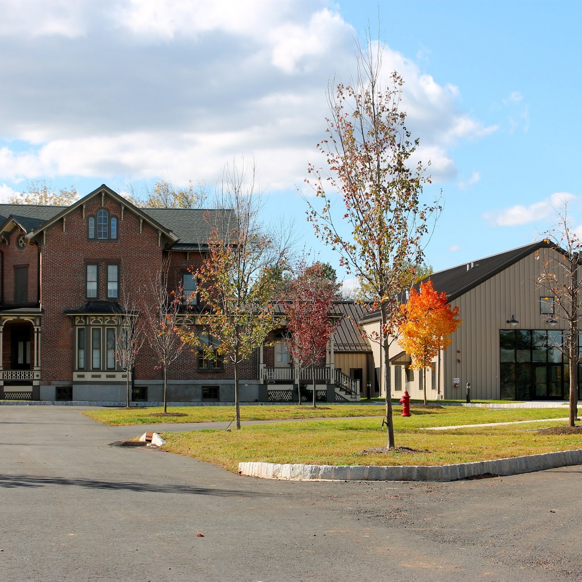 SAVE - A Friend to Homeless Animals Skillman