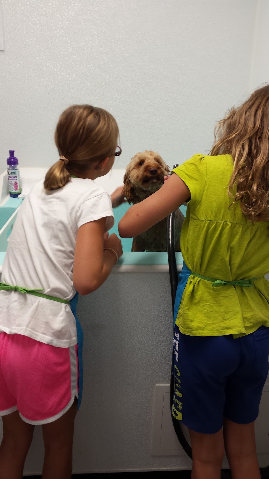 Tubbs Dog Wash Somers Point