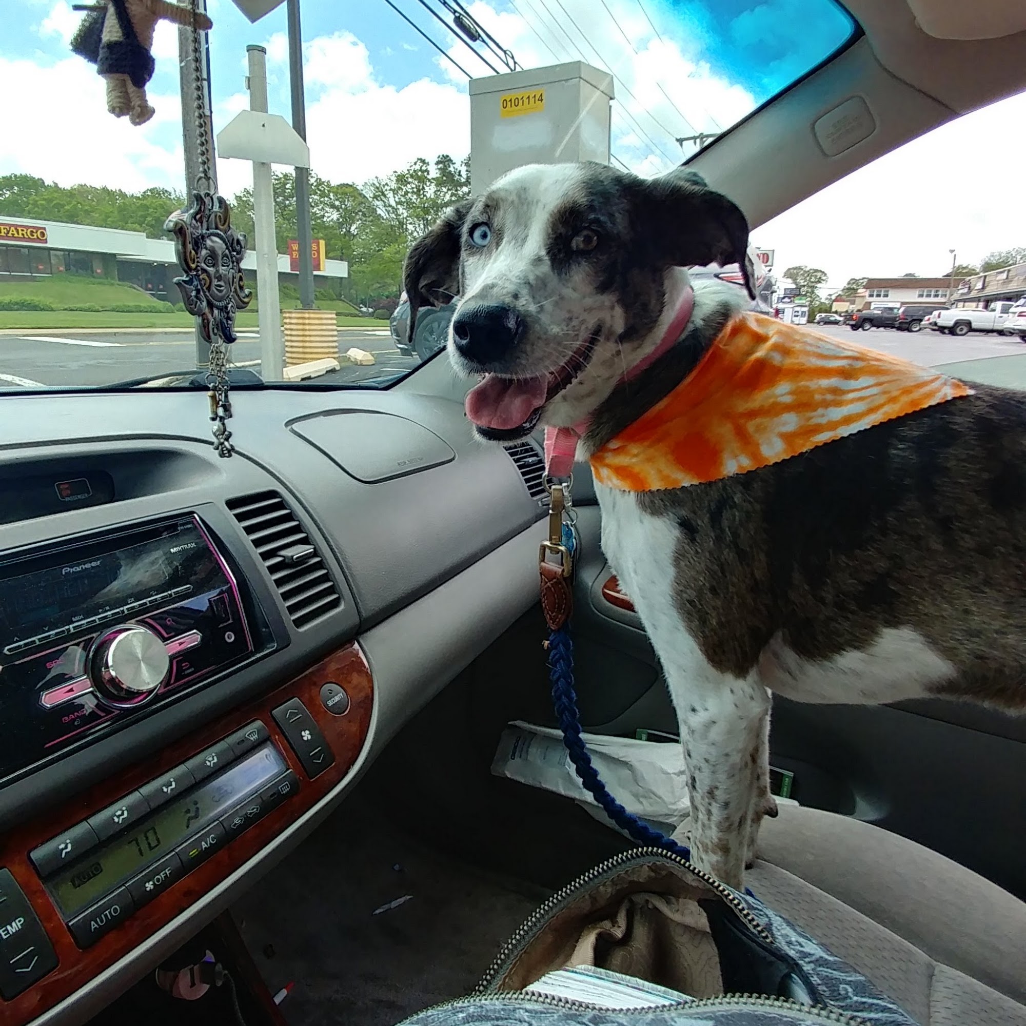 Barkin' Bubbles Somers Point