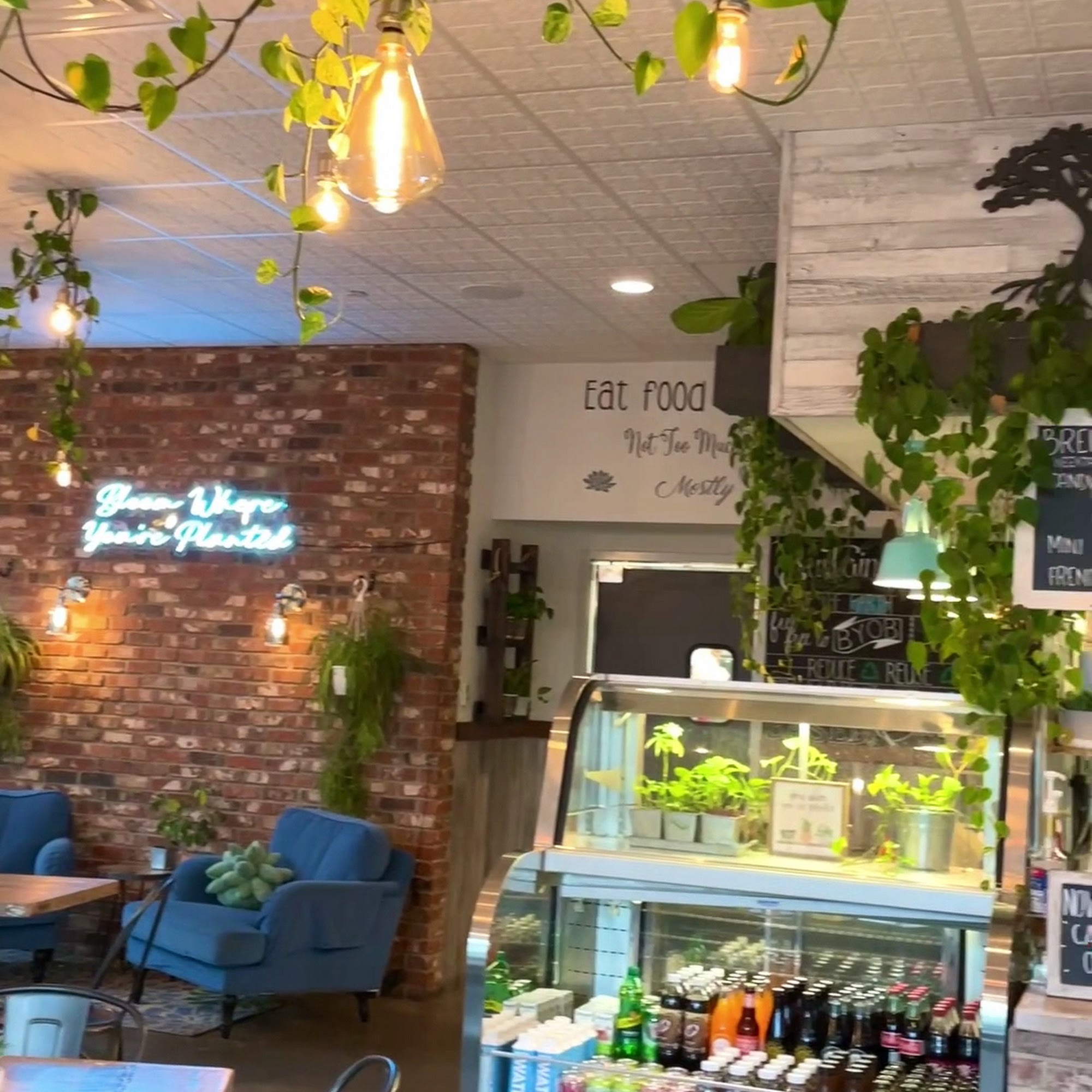 Turf Surf & Earth Somerville