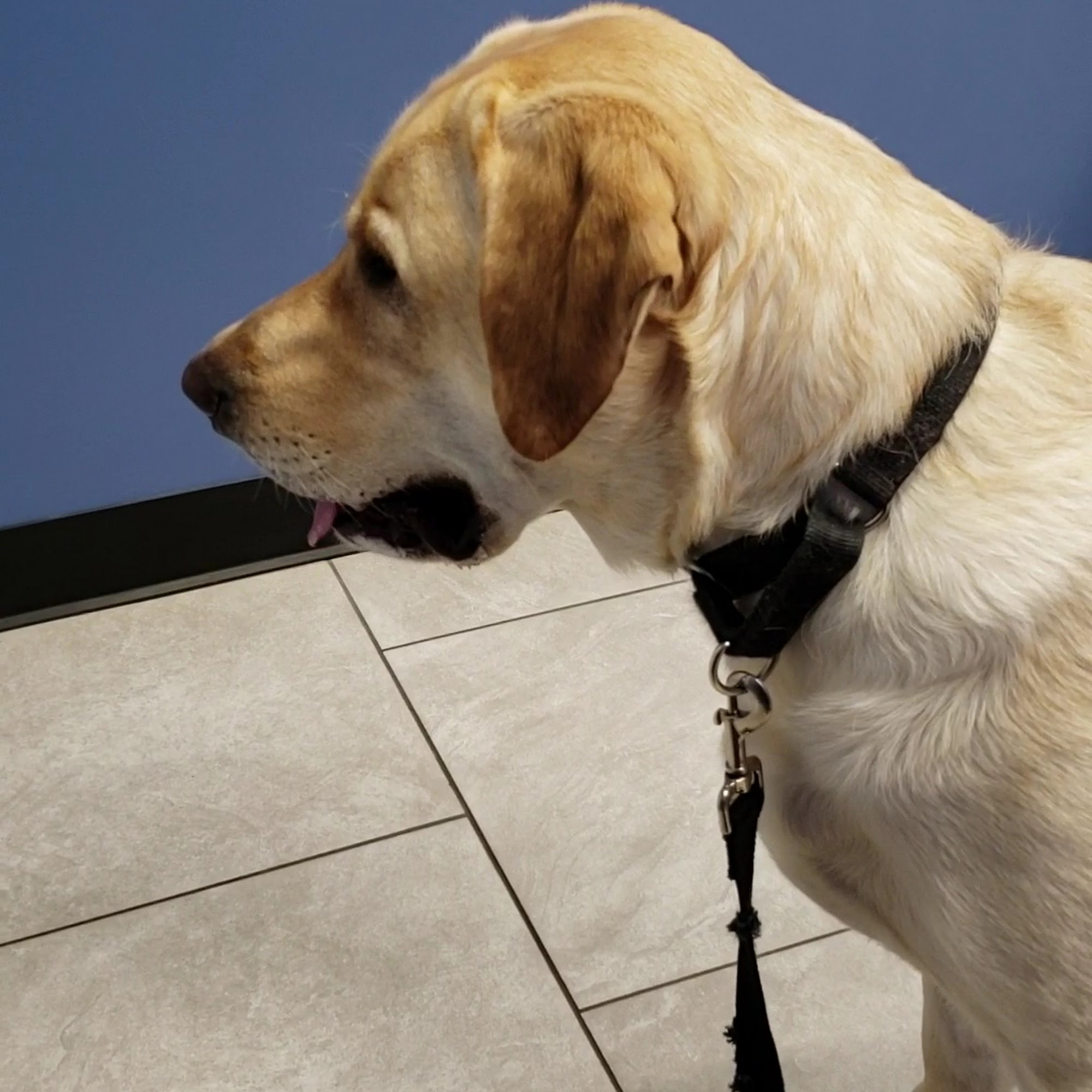 Happy Pets Veterinary Hospital, INC South Bound Brook