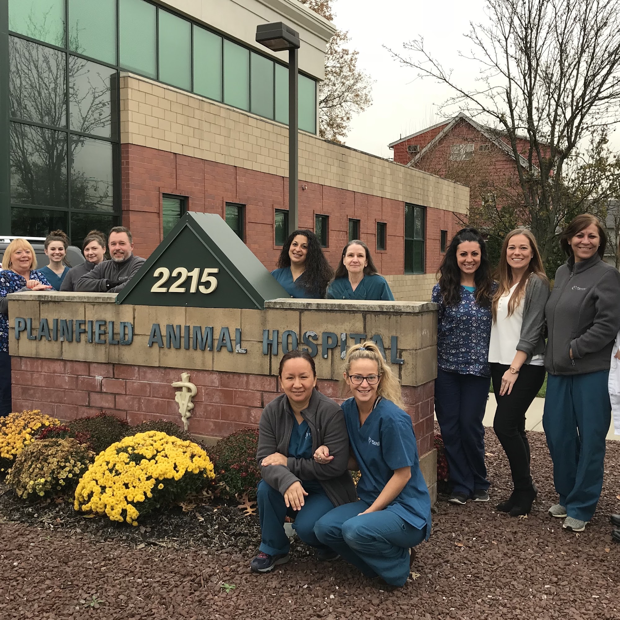 Plainfield Animal Hospital South Plainfield