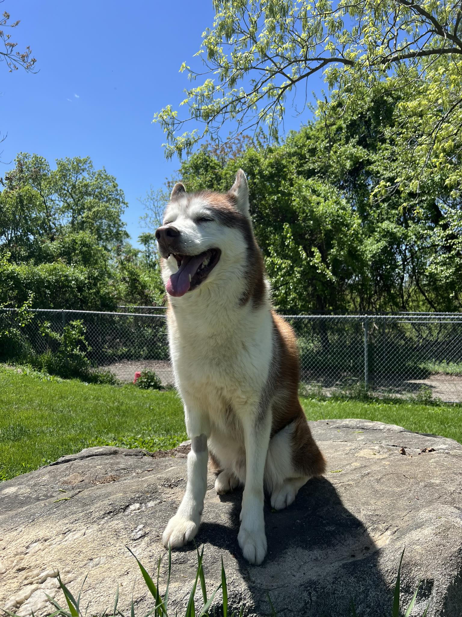 Kerfree Kennels LLC Sparta