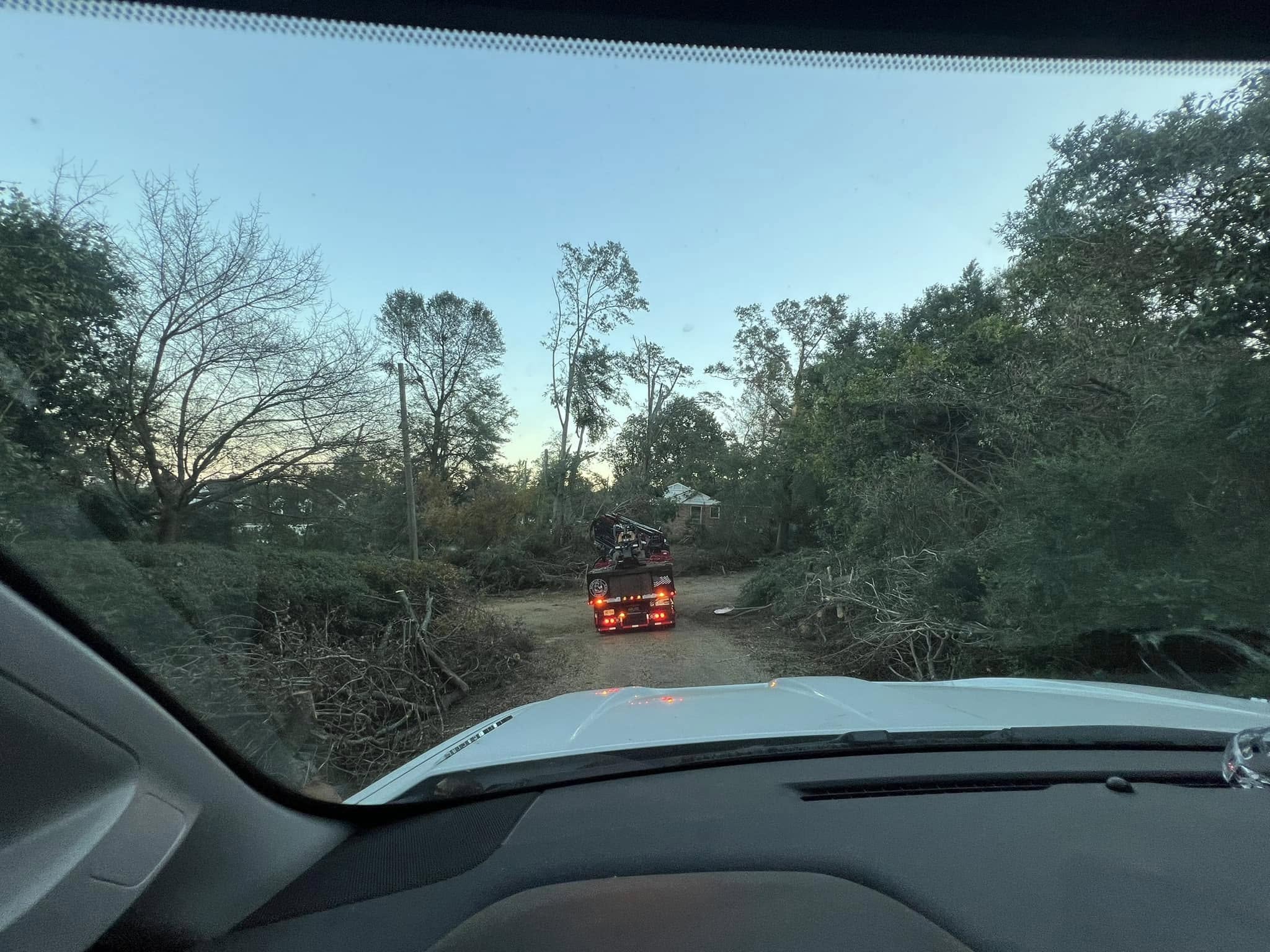 Sparta Tree Services