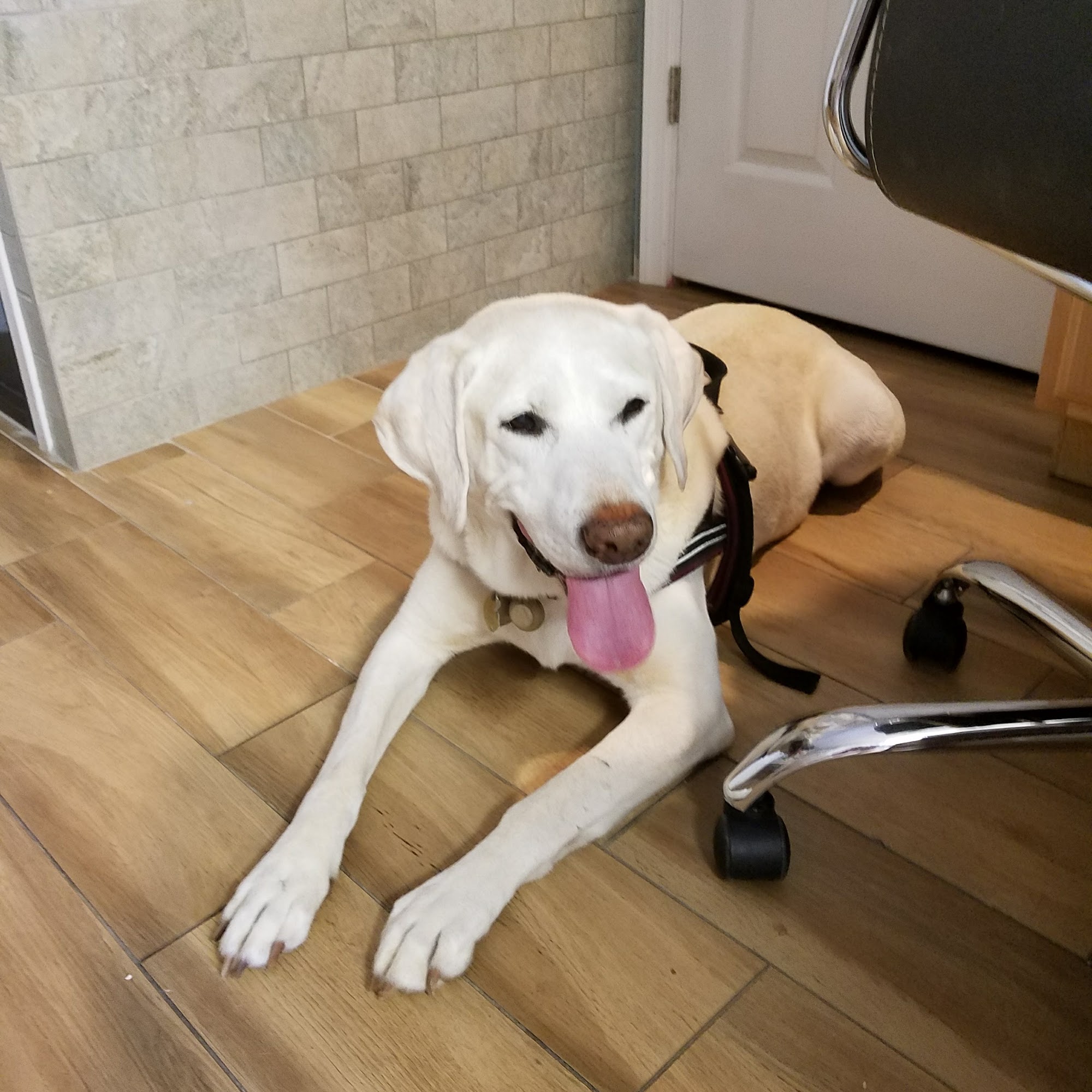 Ocean Acres Veterinary Stafford