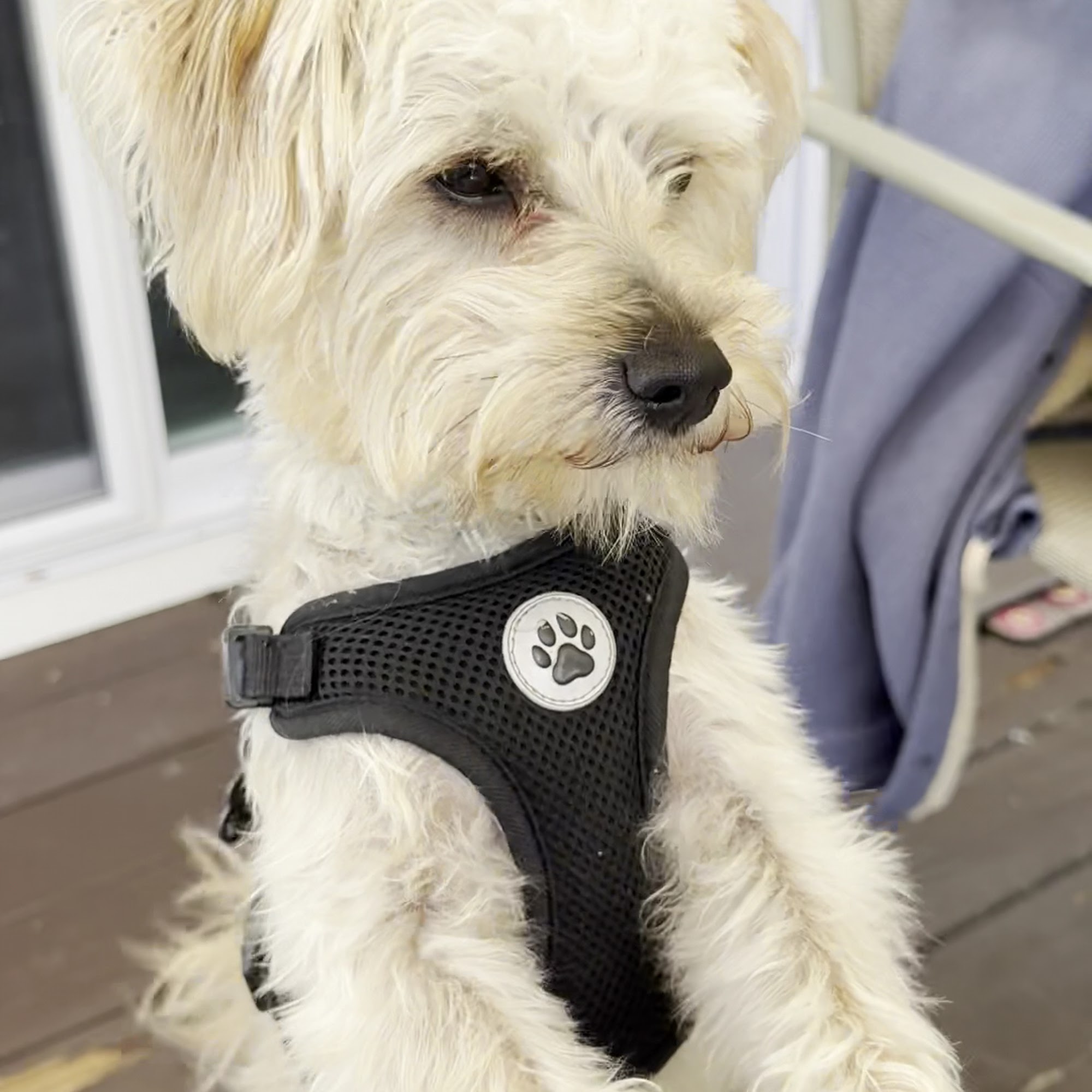 Byram Animal Hospital Stanhope