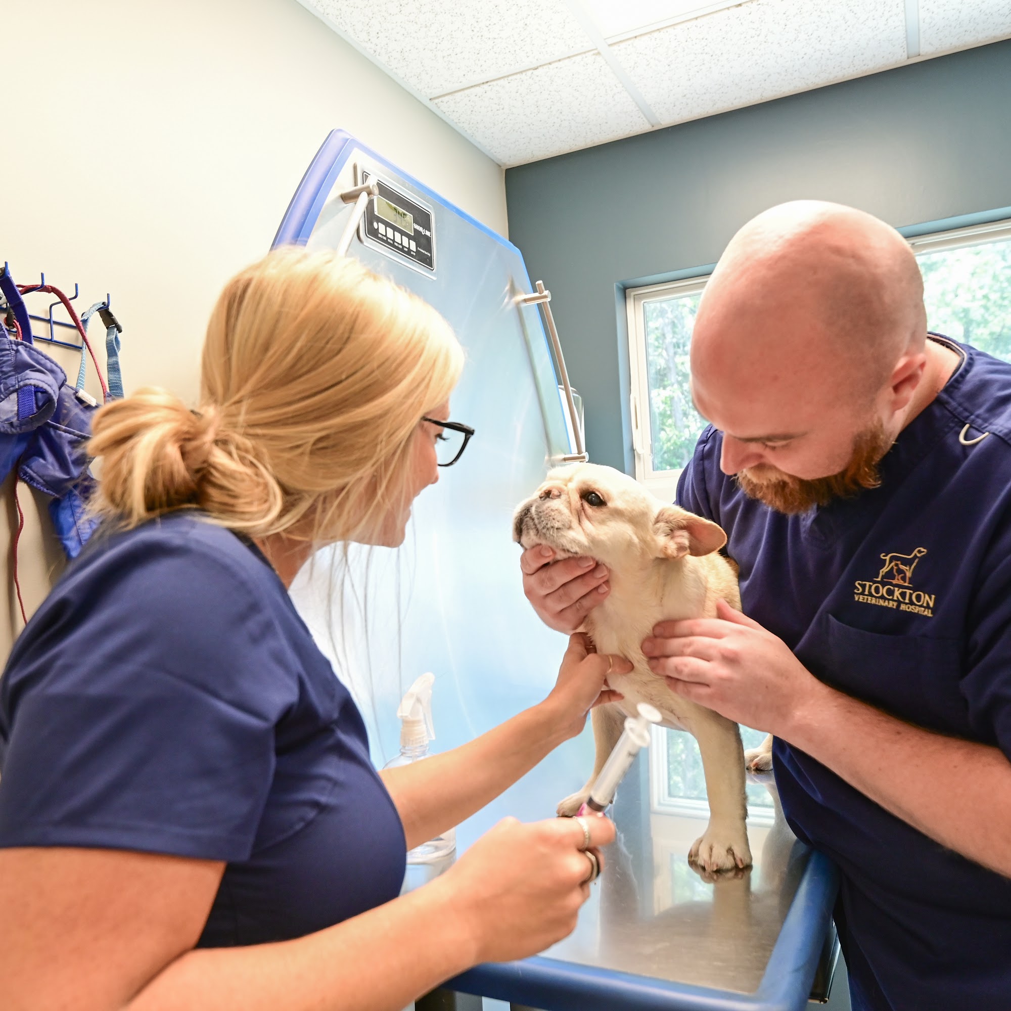 Stockton Veterinary Hospital Stockton