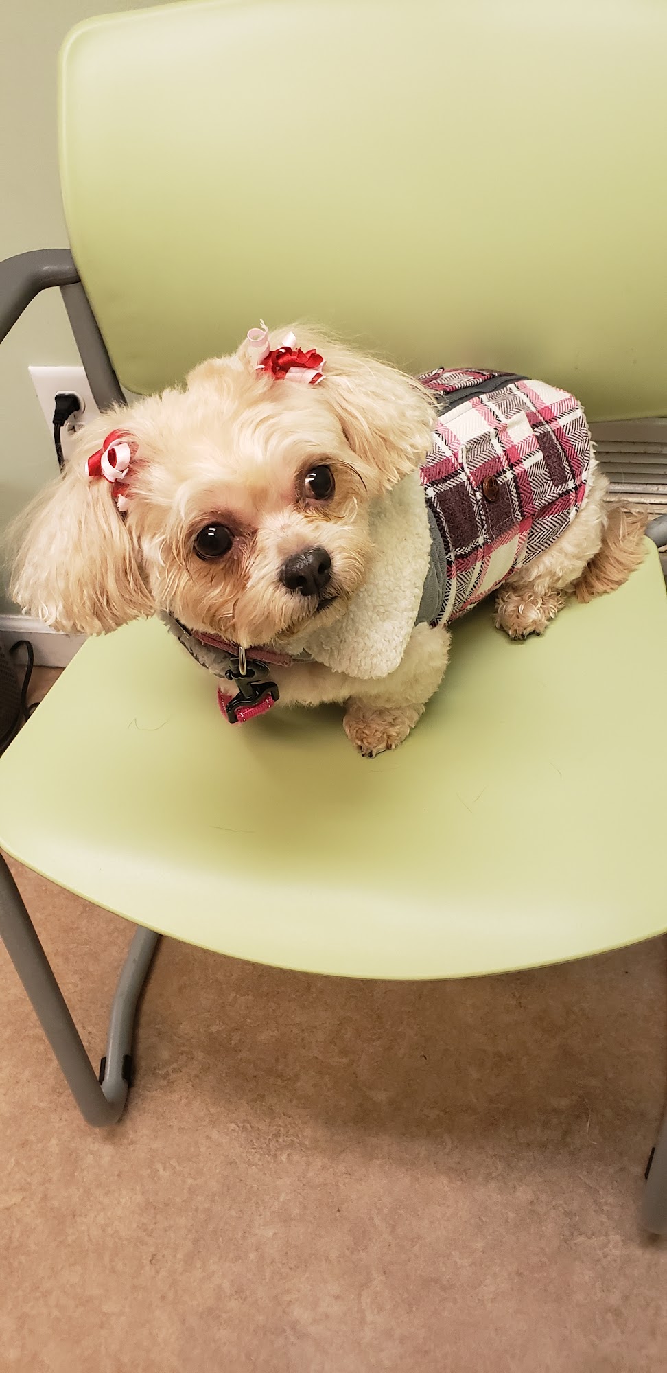 Bergen Veterinary Hospital Teaneck