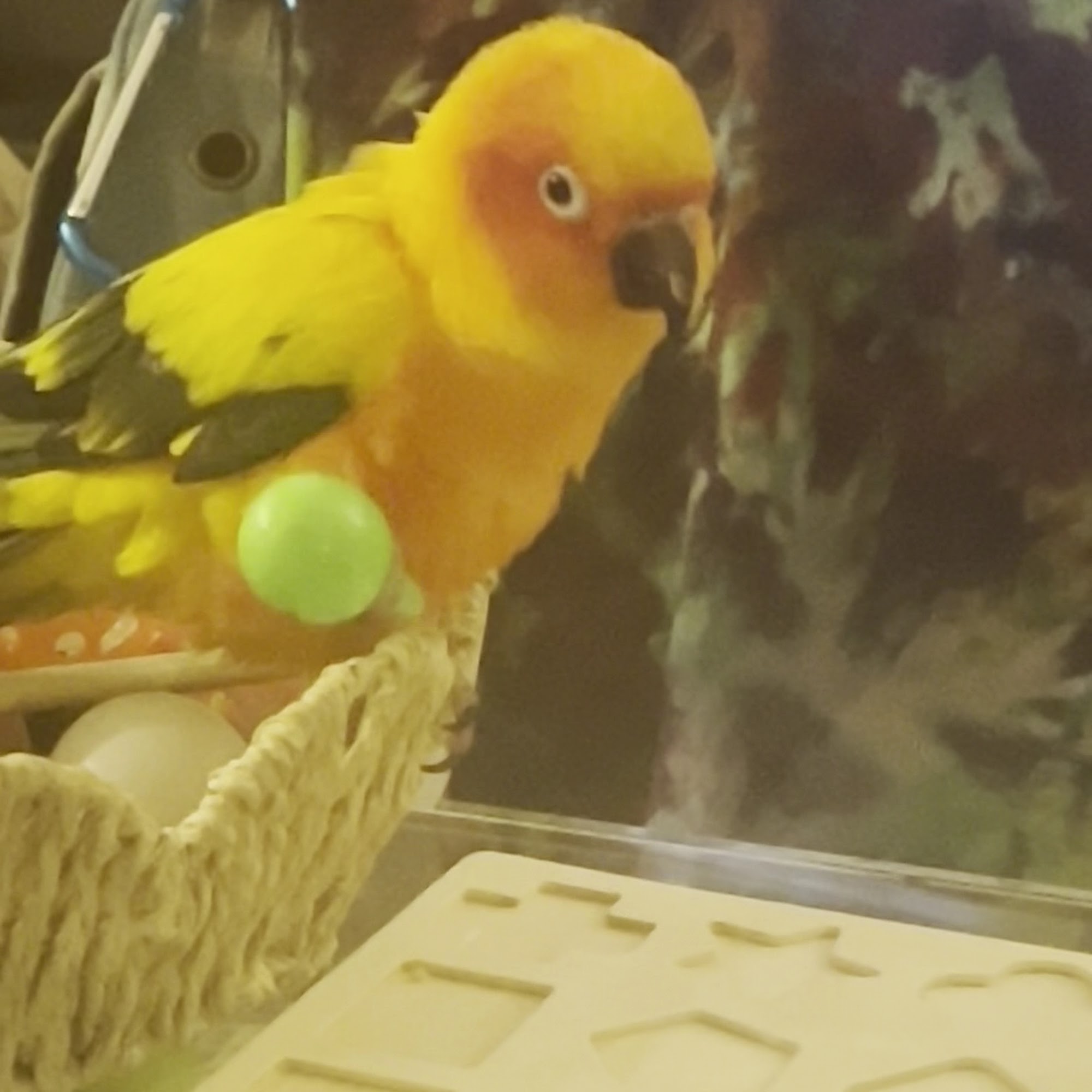 Red Bank Veterinary Hospital (RBVH) - Tinton Falls Tinton Falls