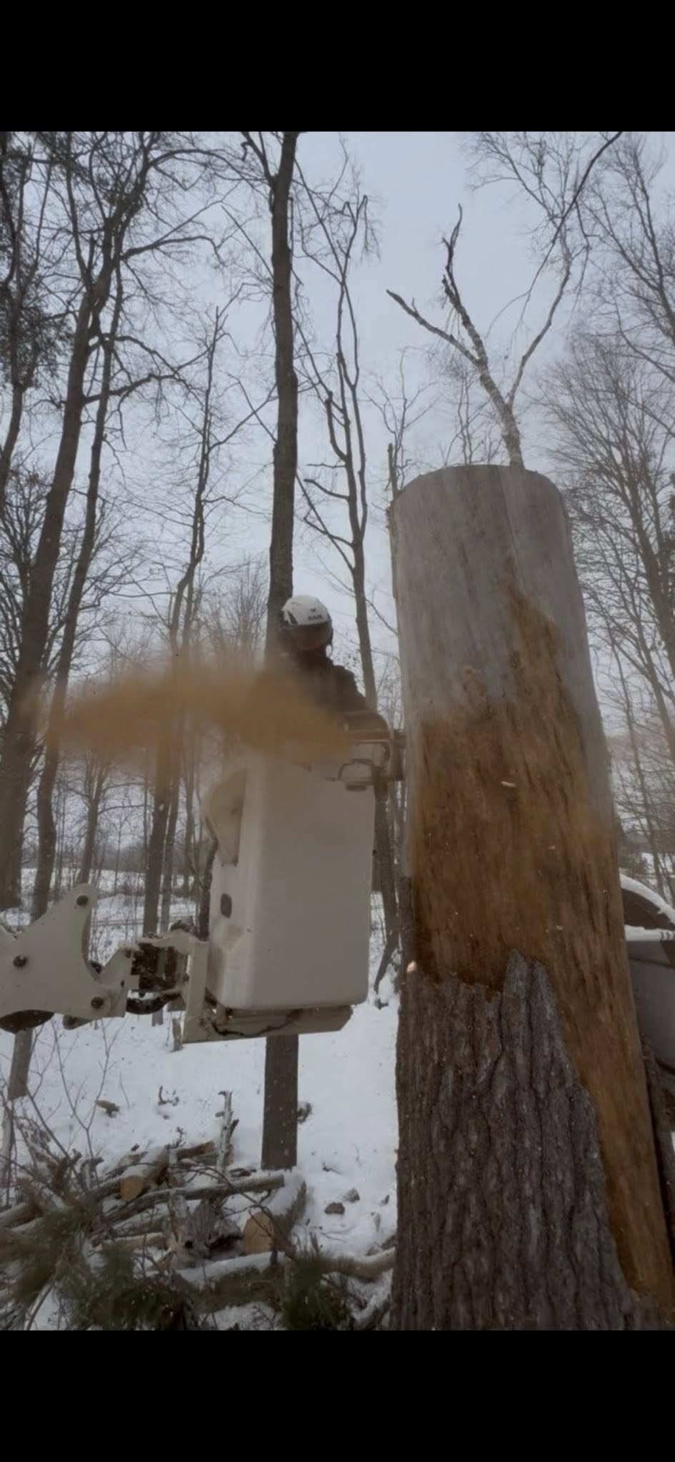 Dan's Tree Surgeons 3000 Shafto Rd, Tinton Falls New Jersey 07753