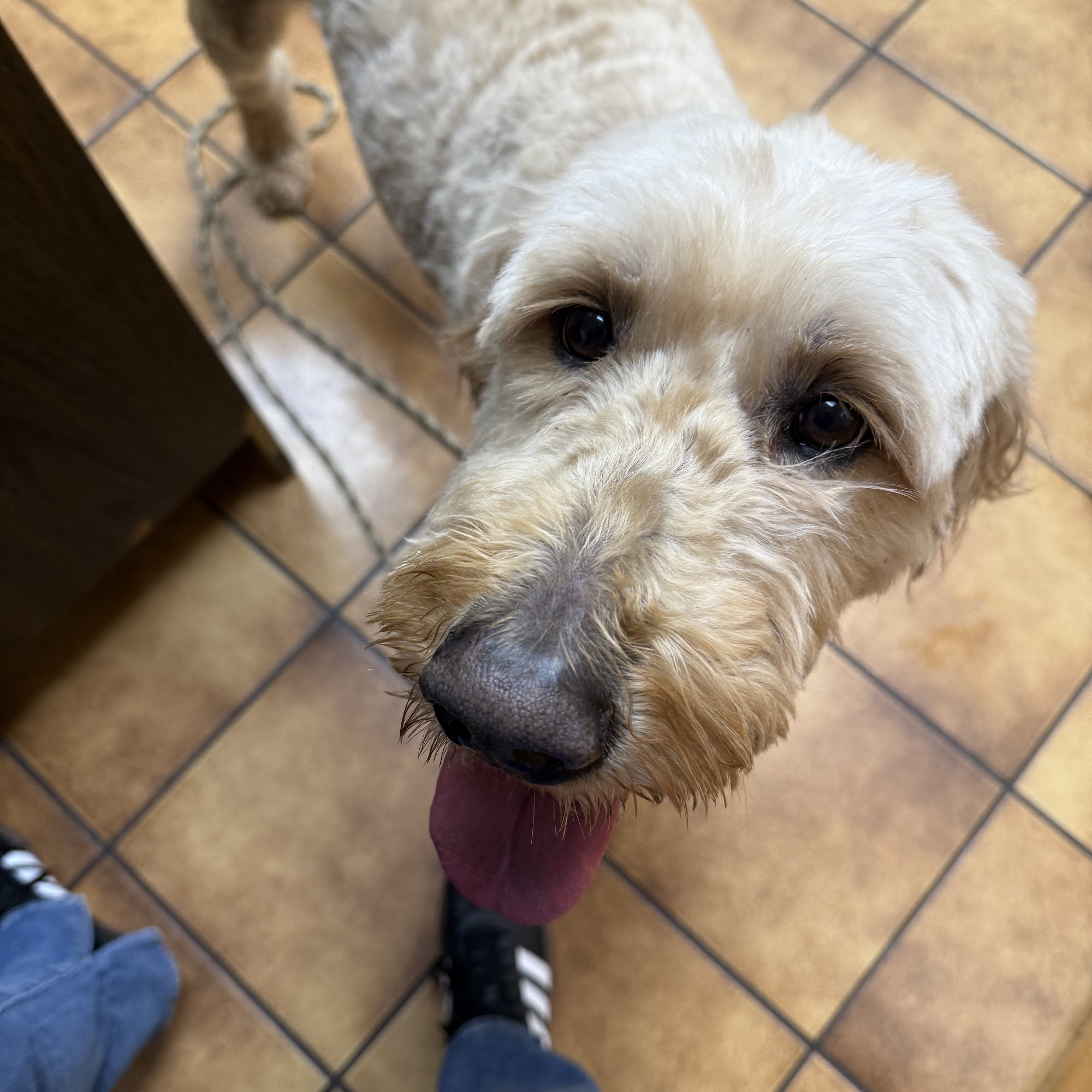 Small Animal Veterinary Associates Toms River